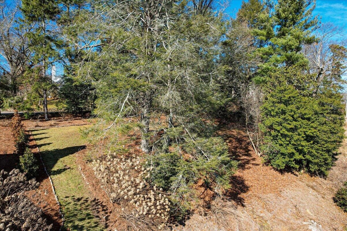 Homes for sale in Lookout Mountain, TN | 133 Fairy Trail, Lookout Mountain, TN 37350 | MLS# 2912509