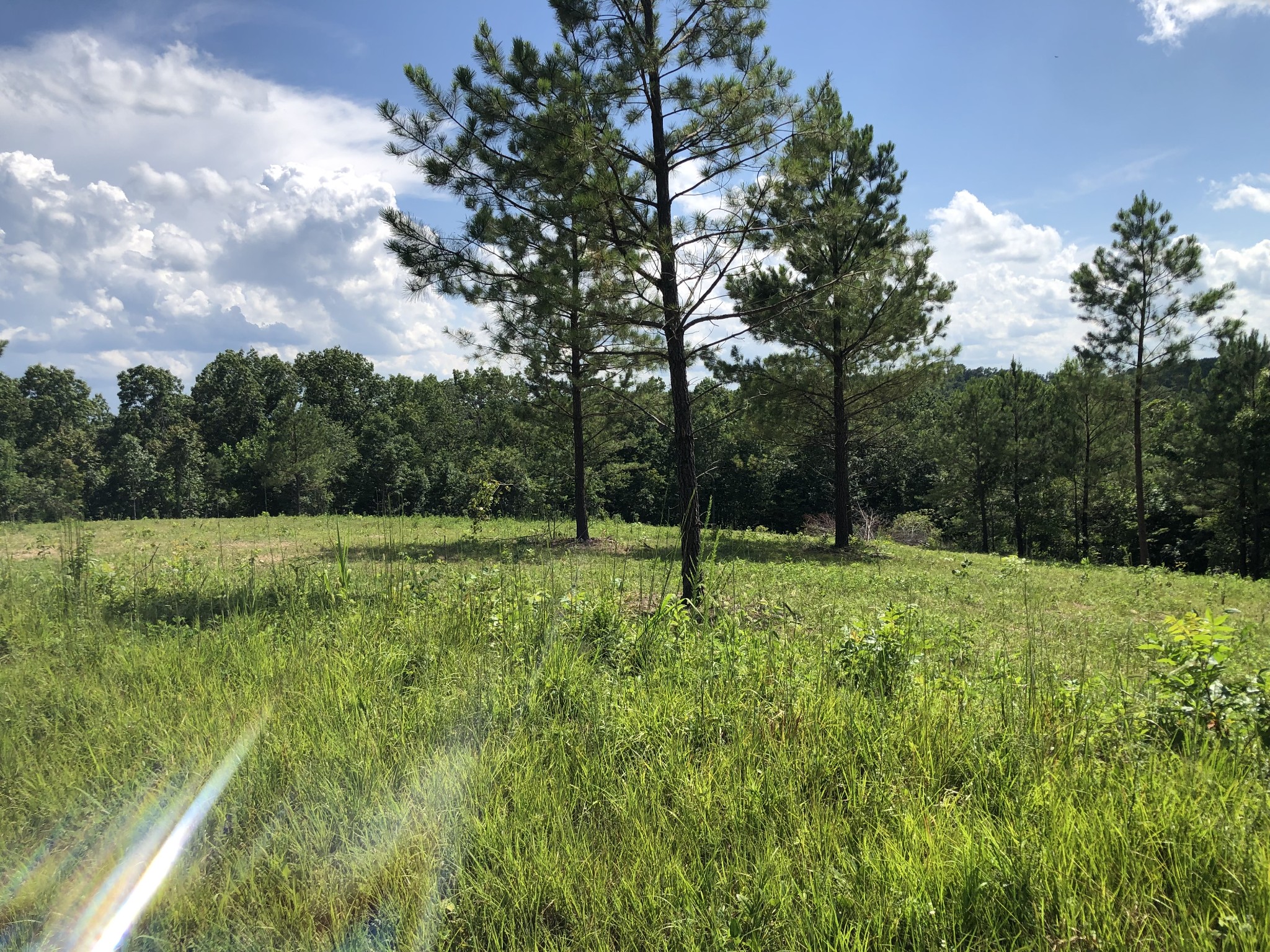 Homes for sale in Hohenwald, TN | 0 Firetower Rd, Hohenwald, TN 38462 | MLS# 2807836