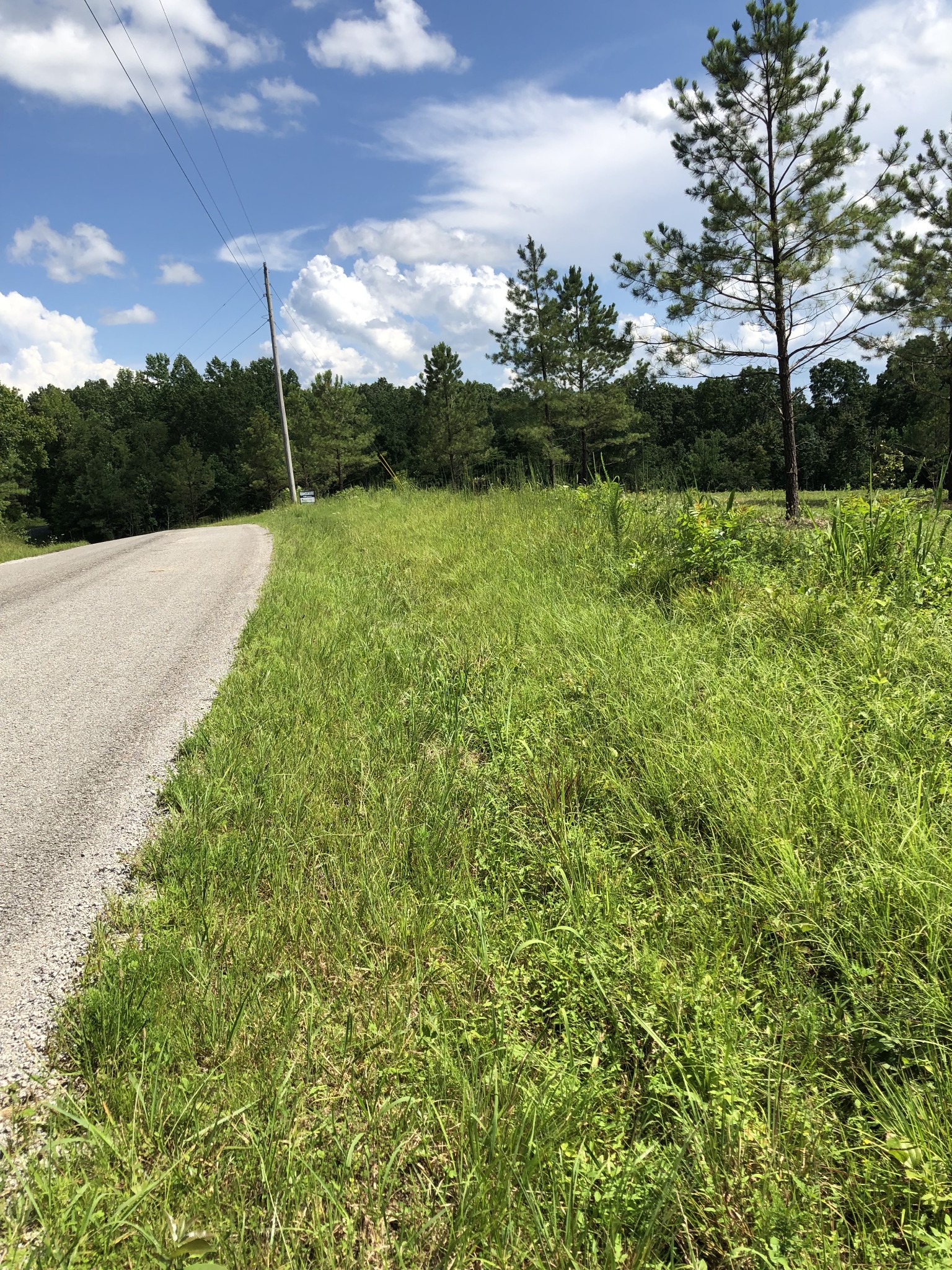 Homes for sale in Hohenwald, TN | 0 Firetower Rd, Hohenwald, TN 38462 | MLS# 2807836