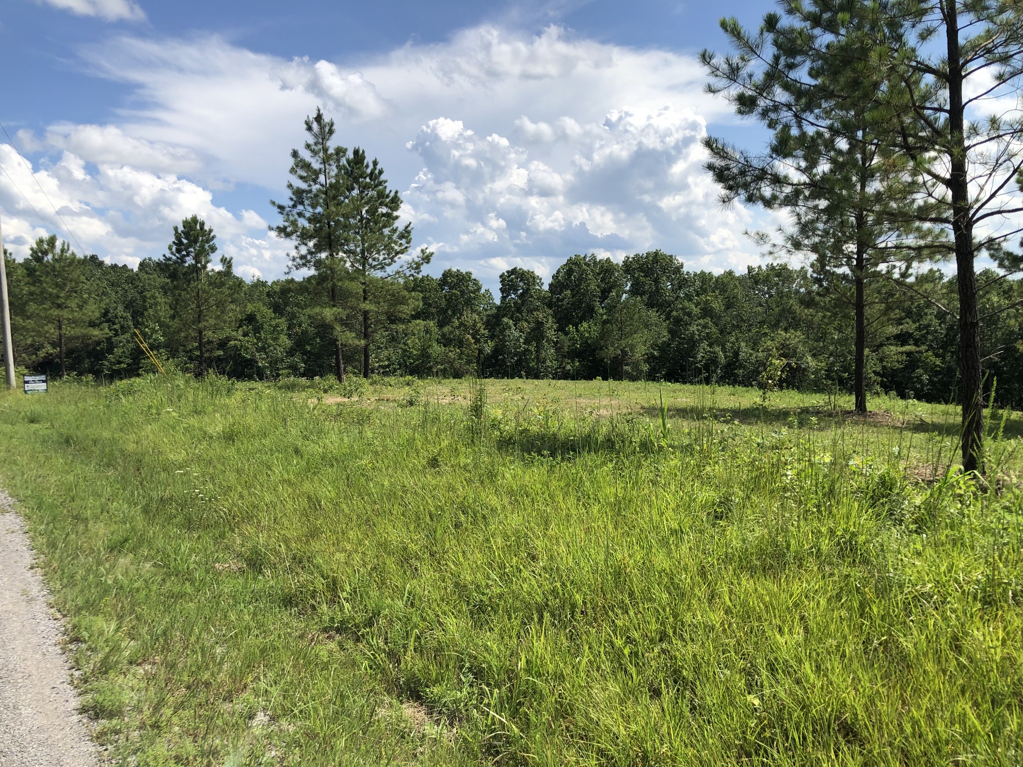 Homes for sale in Hohenwald, TN | 0 Firetower Rd, Hohenwald, TN 38462 | MLS# 2807836