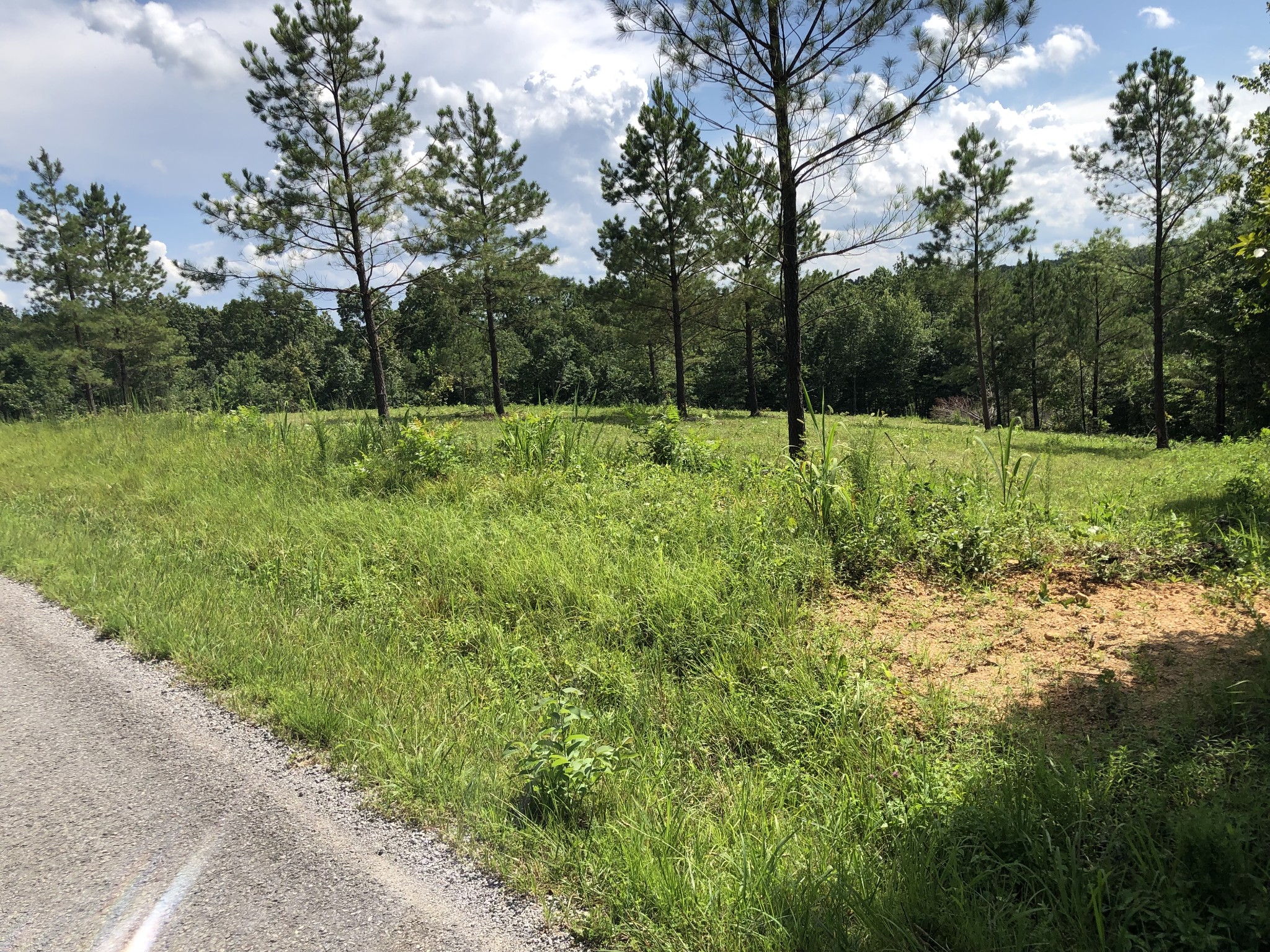 Homes for sale in Hohenwald, TN | 0 Firetower Rd, Hohenwald, TN 38462 | MLS# 2807836