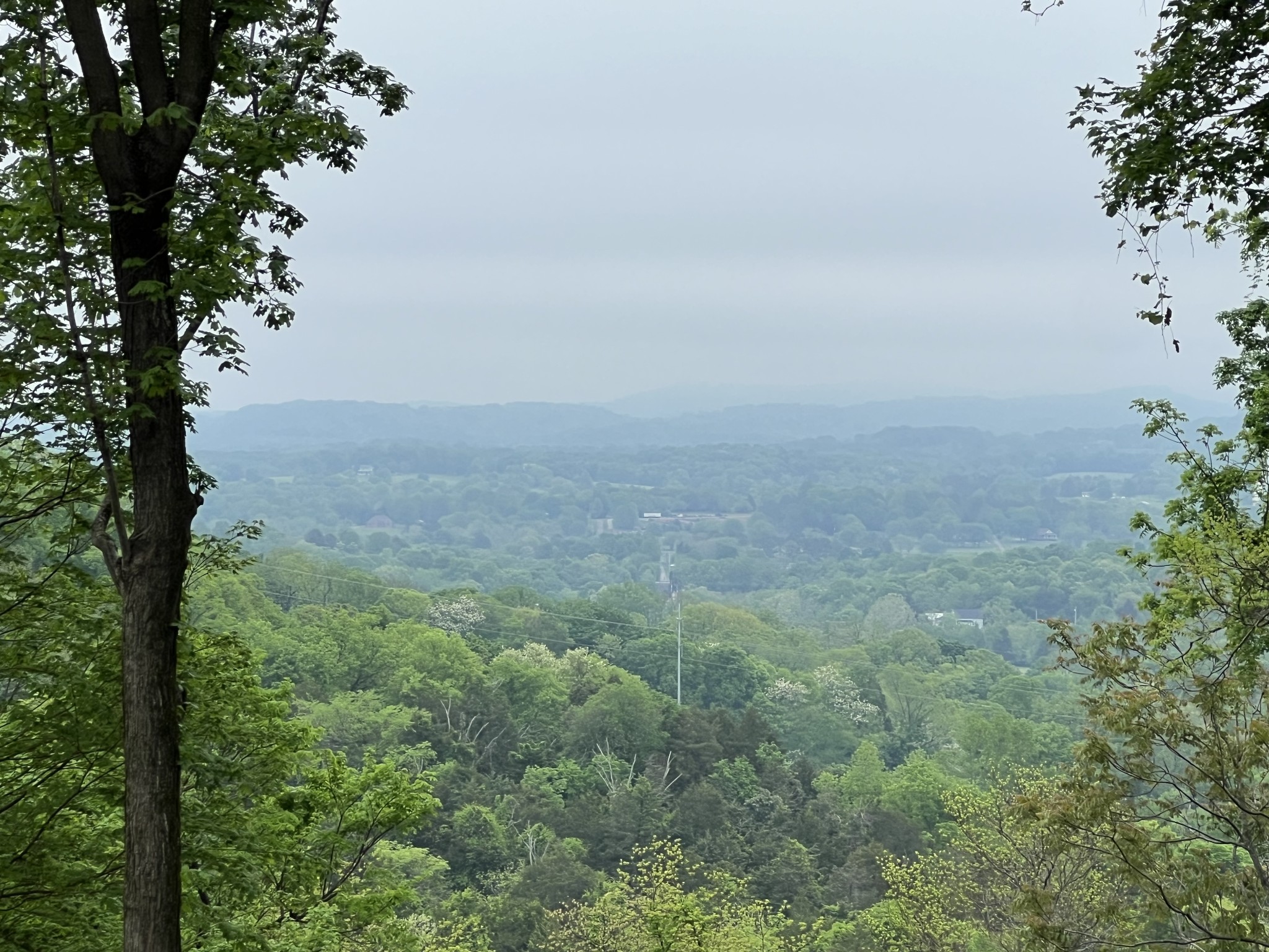 Homes for sale in Lewisburg, TN | 0 Old Lake Rd, Lewisburg, TN 37091 | MLS# 2814421