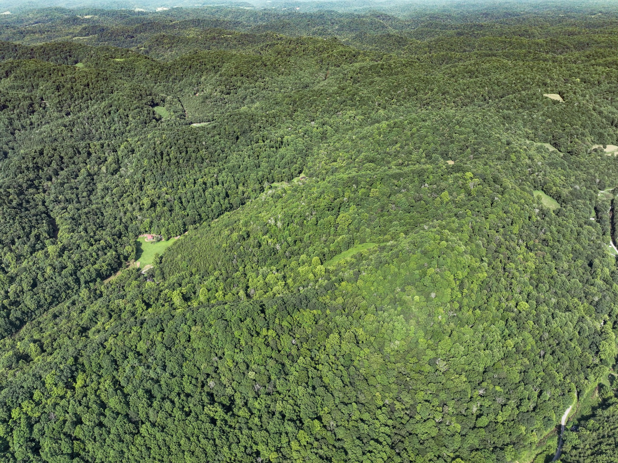 Homes for sale in Gainesboro, TN | 325 Cubb Ln, Gainesboro, TN 38562 | MLS# 2815692