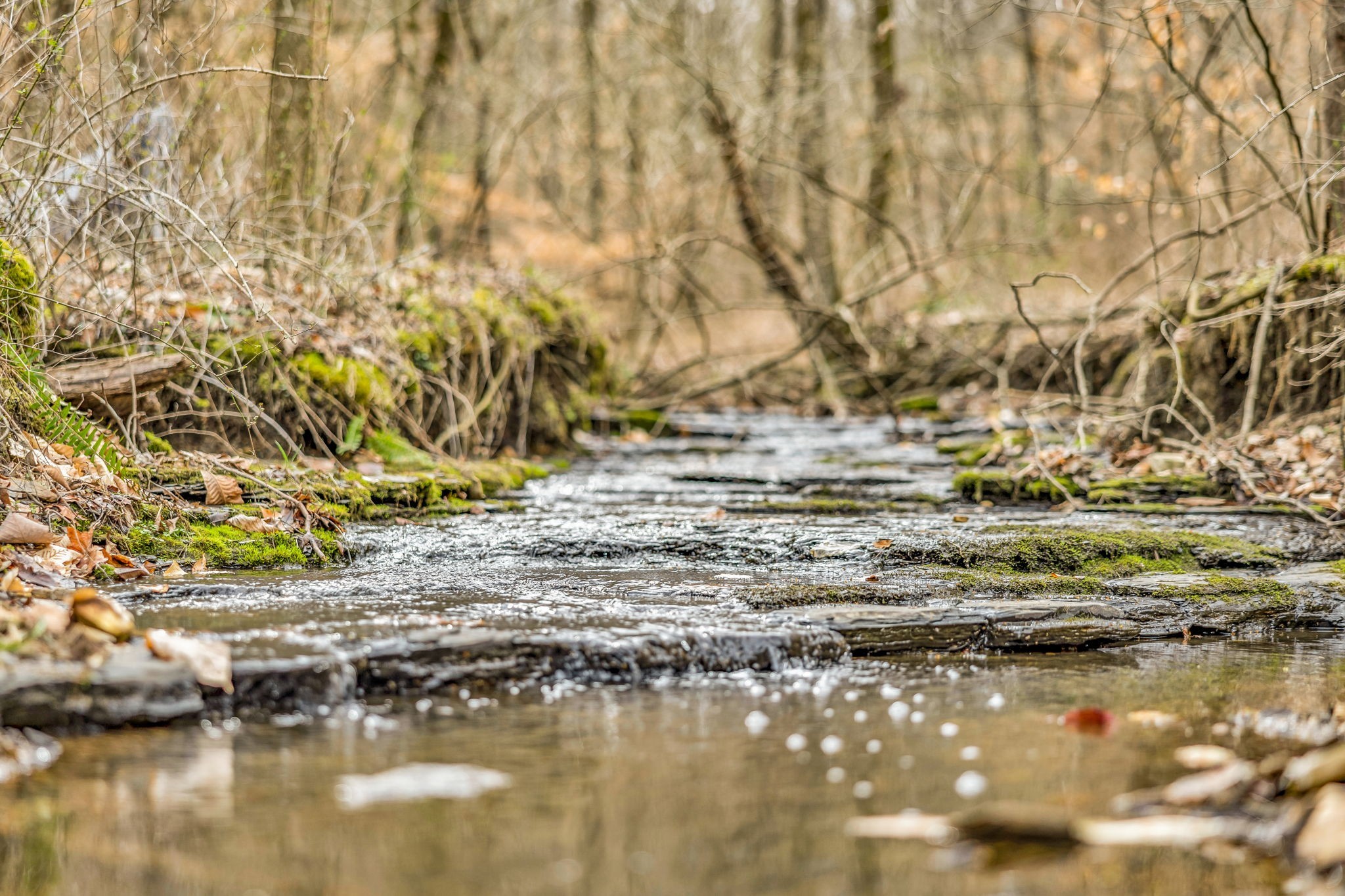 Homes for sale in Whites Creek, TN | 811 Clay Lick Ct, Whites Creek, TN 37189 | MLS# 2817906