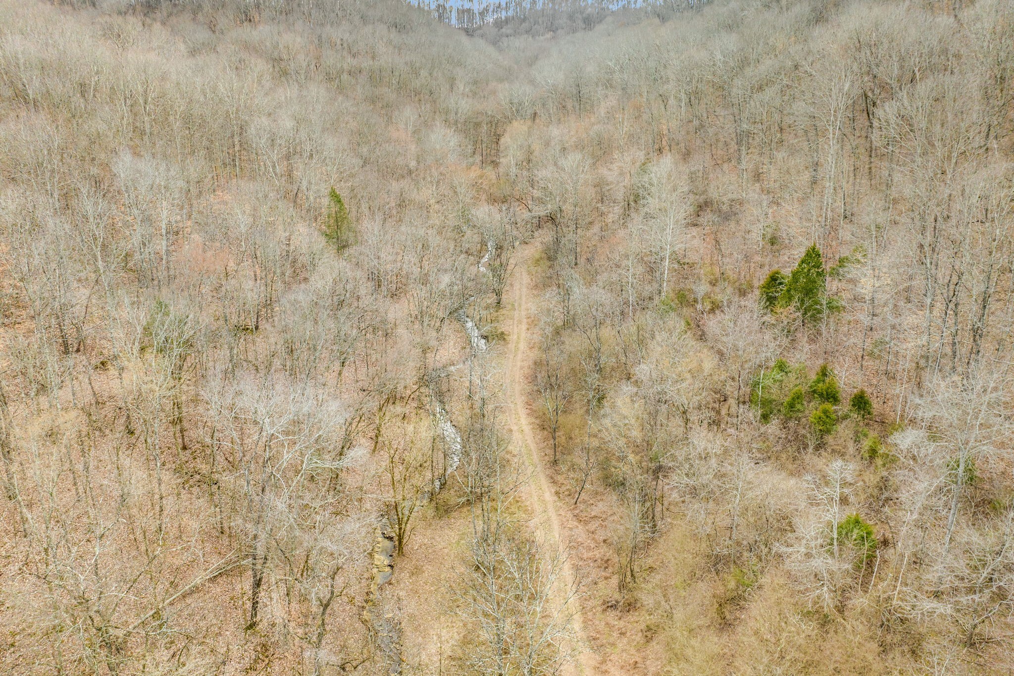 Homes for sale in Whites Creek, TN | 811 Clay Lick Ct, Whites Creek, TN 37189 | MLS# 2817906