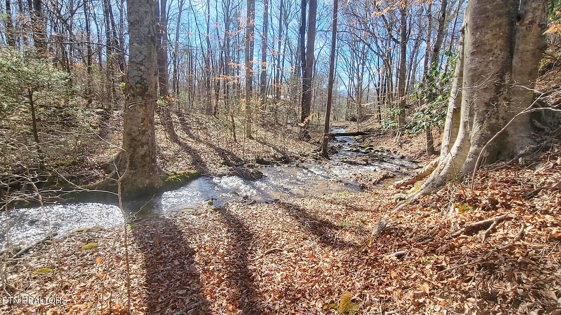 Homes for sale in Newport, TN | 1312 Sweetwater Rd, Newport, TN 37821 | MLS# 3102108