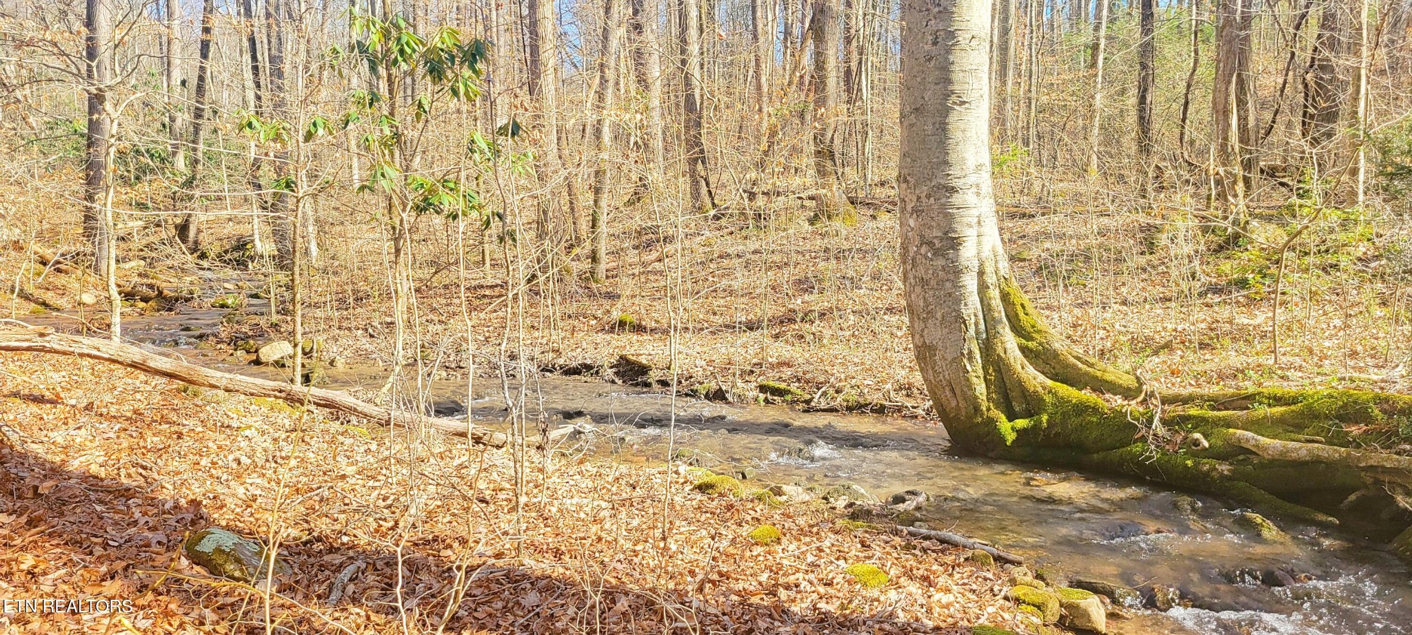 Homes for sale in Newport, TN | 1312 Sweetwater Rd, Newport, TN 37821 | MLS# 3102108