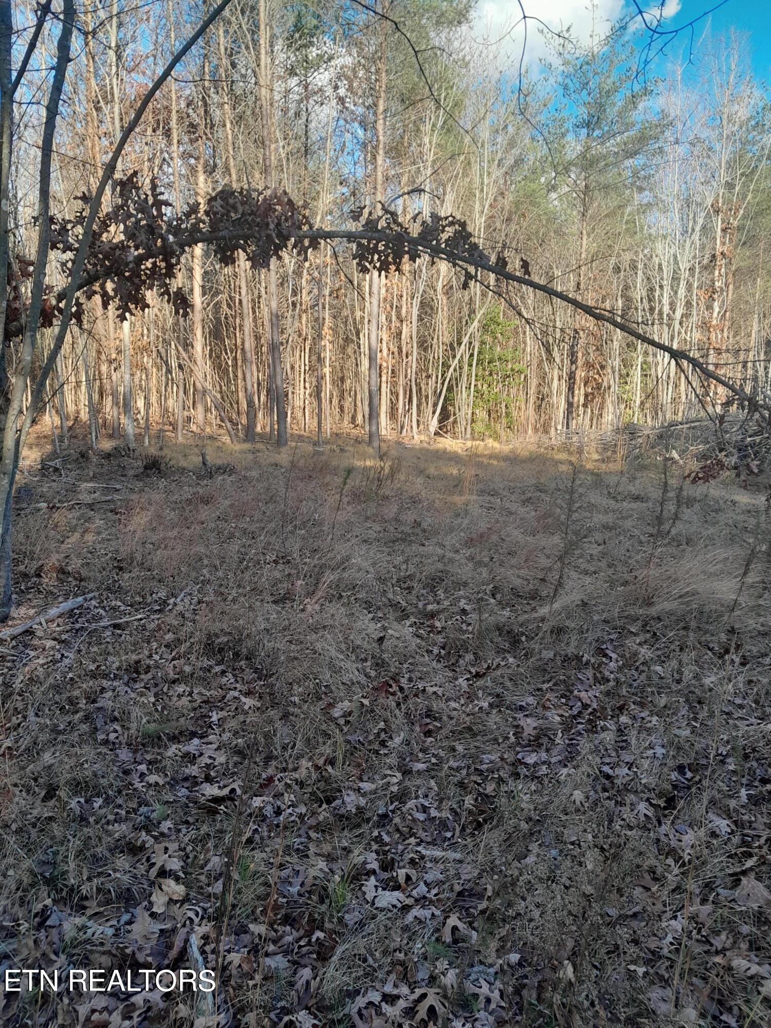 Homes for sale in Spencer, TN | 0 Meadow Lane, Spencer, TN 38585 | MLS# 3110282