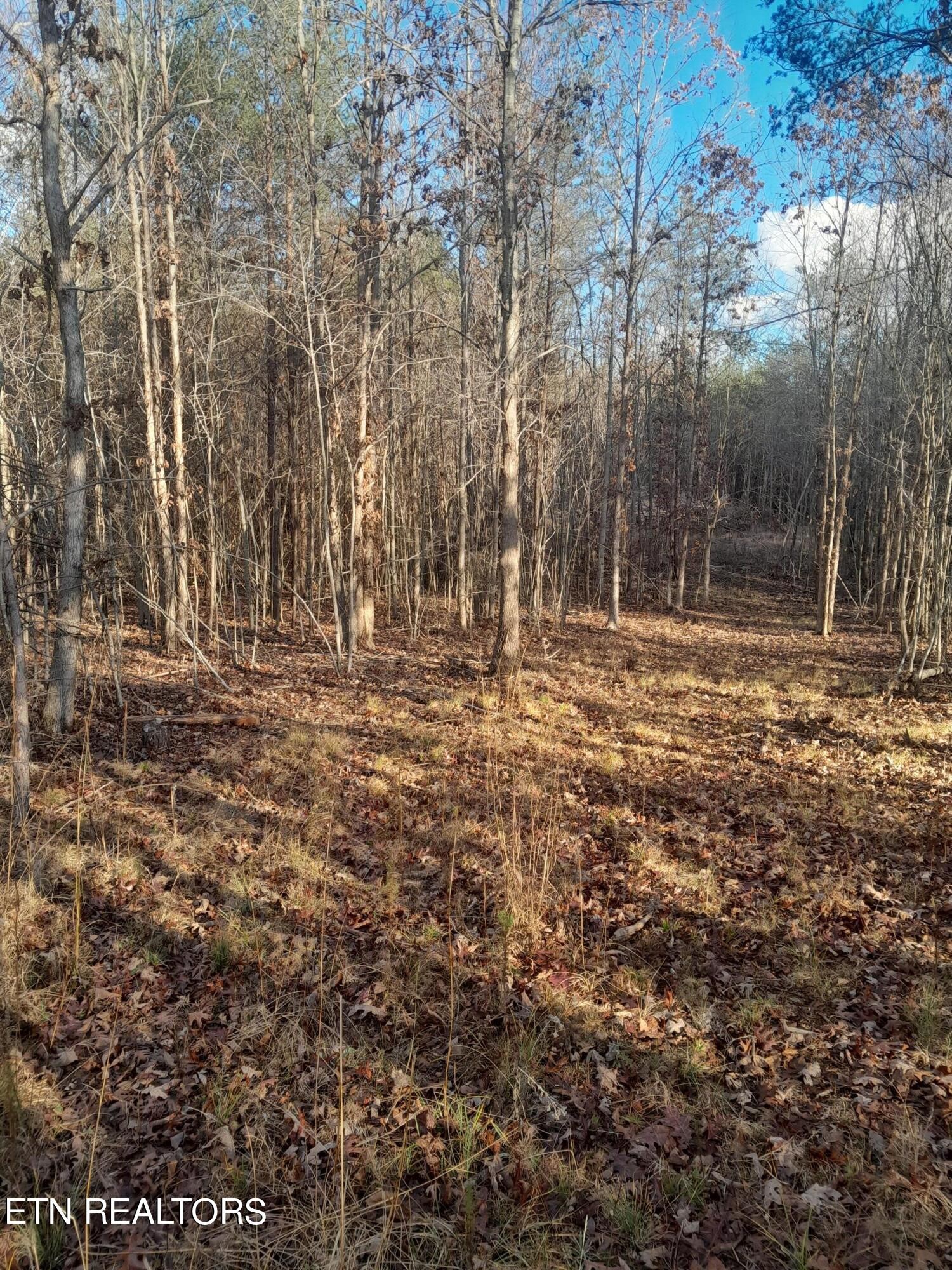 Homes for sale in Spencer, TN | 0 Meadow Lane, Spencer, TN 38585 | MLS# 3110282