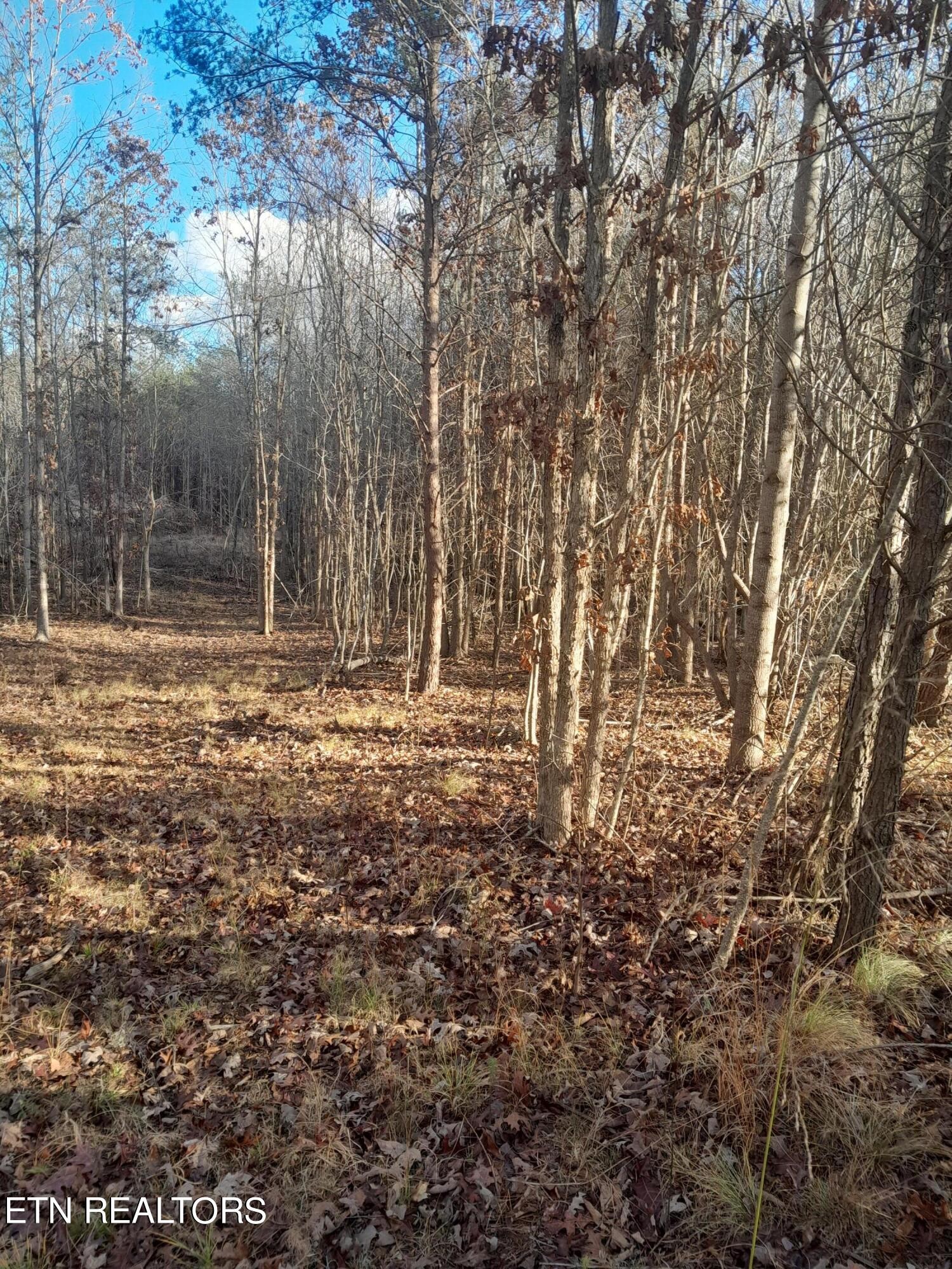 Homes for sale in Spencer, TN | 0 Meadow Lane, Spencer, TN 38585 | MLS# 3110282