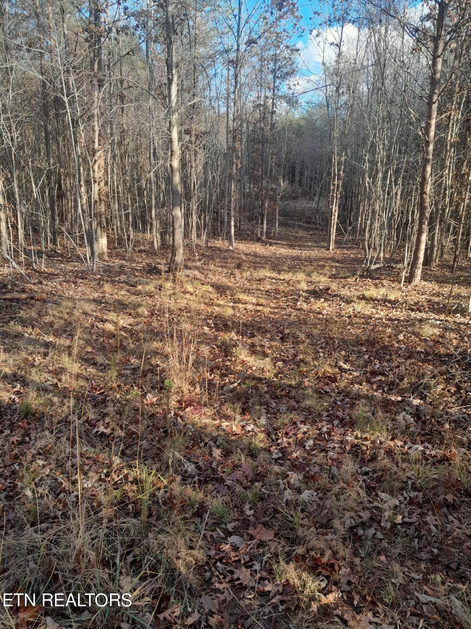 Homes for sale in Spencer, TN | 0 Meadow Lane, Spencer, TN 38585 | MLS# 3110282