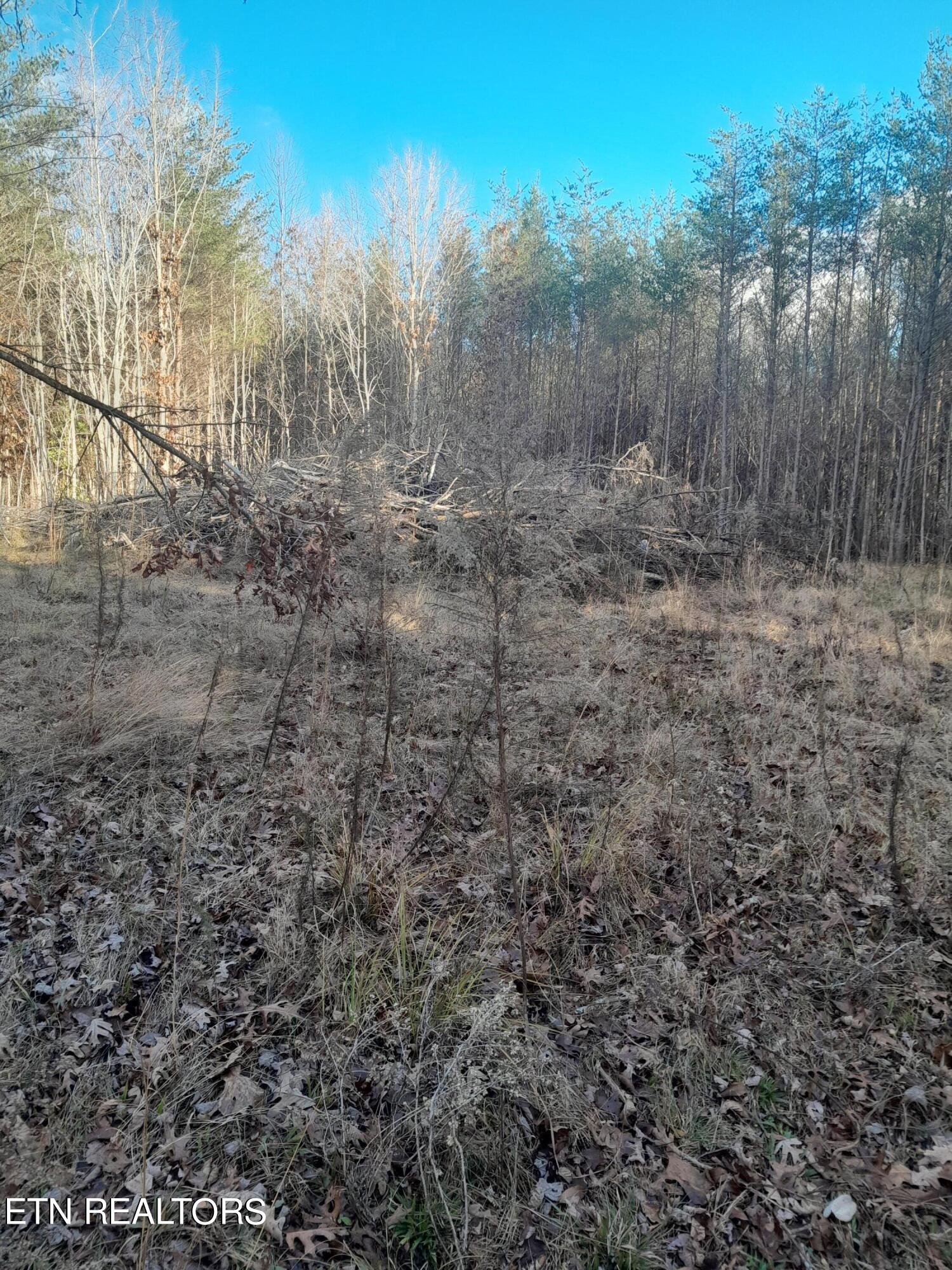 Homes for sale in Spencer, TN | 0 Meadow Lane, Spencer, TN 38585 | MLS# 3110282