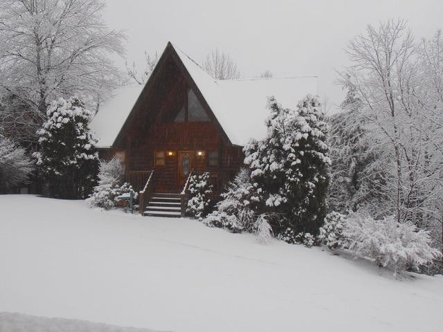 Homes for sale in Gatlinburg, TN | 315 Brown Wren Way, Gatlinburg, TN 37738 | MLS# 3106071