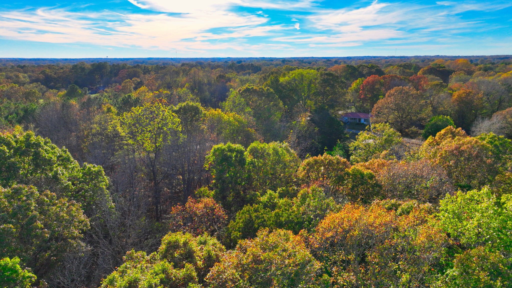 Homes for sale in Camden, TN | 0 George St, Camden, TN 38320 | MLS# 2927434