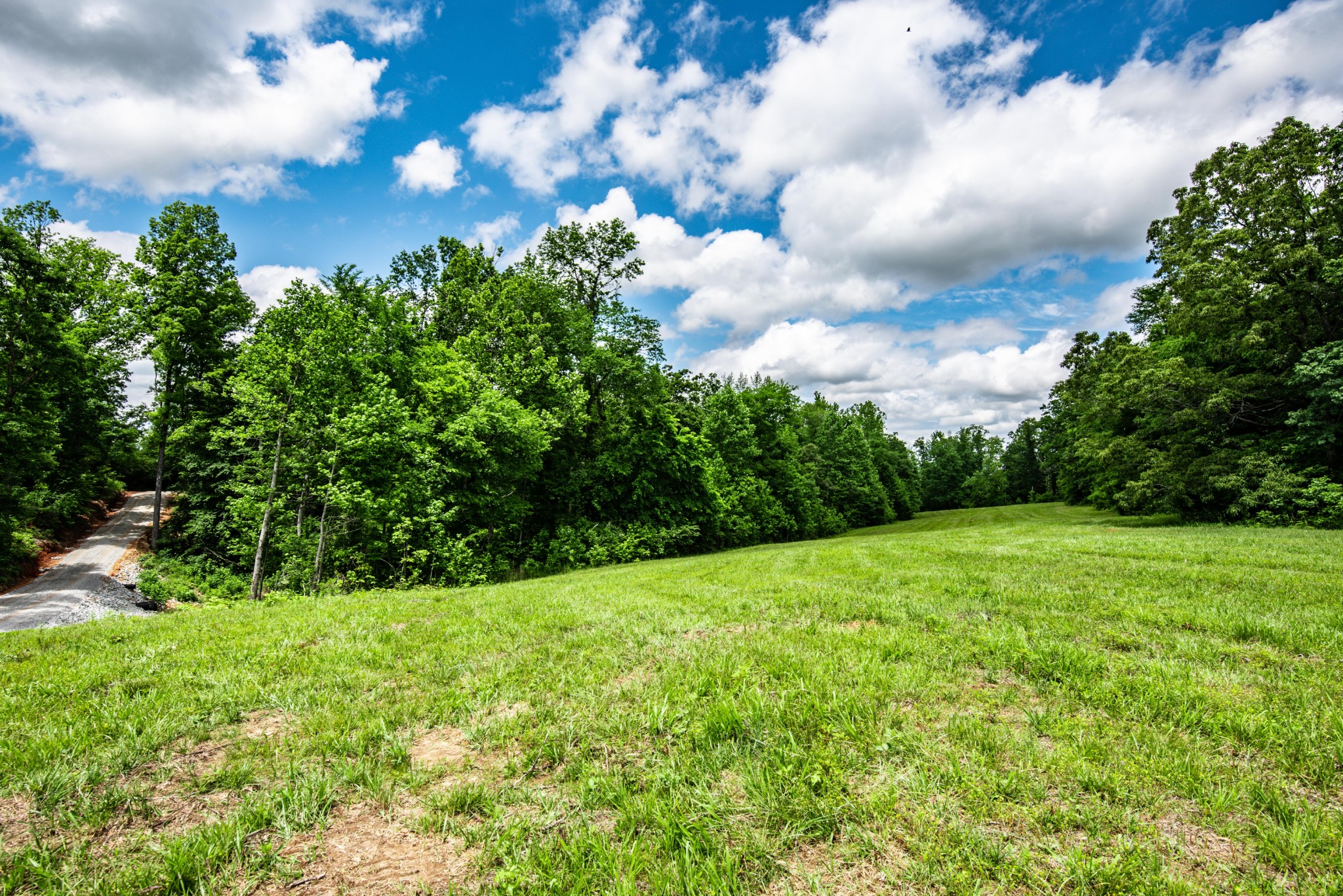 Homes for sale in Decaturville, TN | 835 Mount Zion Rd, Decaturville, TN 38329 | MLS# 2889688