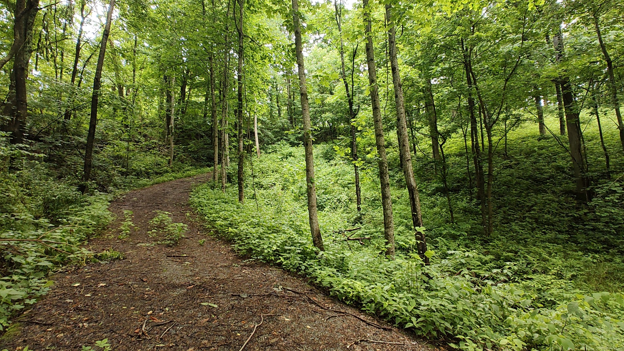 Homes for sale in Lancaster, TN | 56 Harbor Dr, Lancaster, TN 38569 | MLS# 2896712