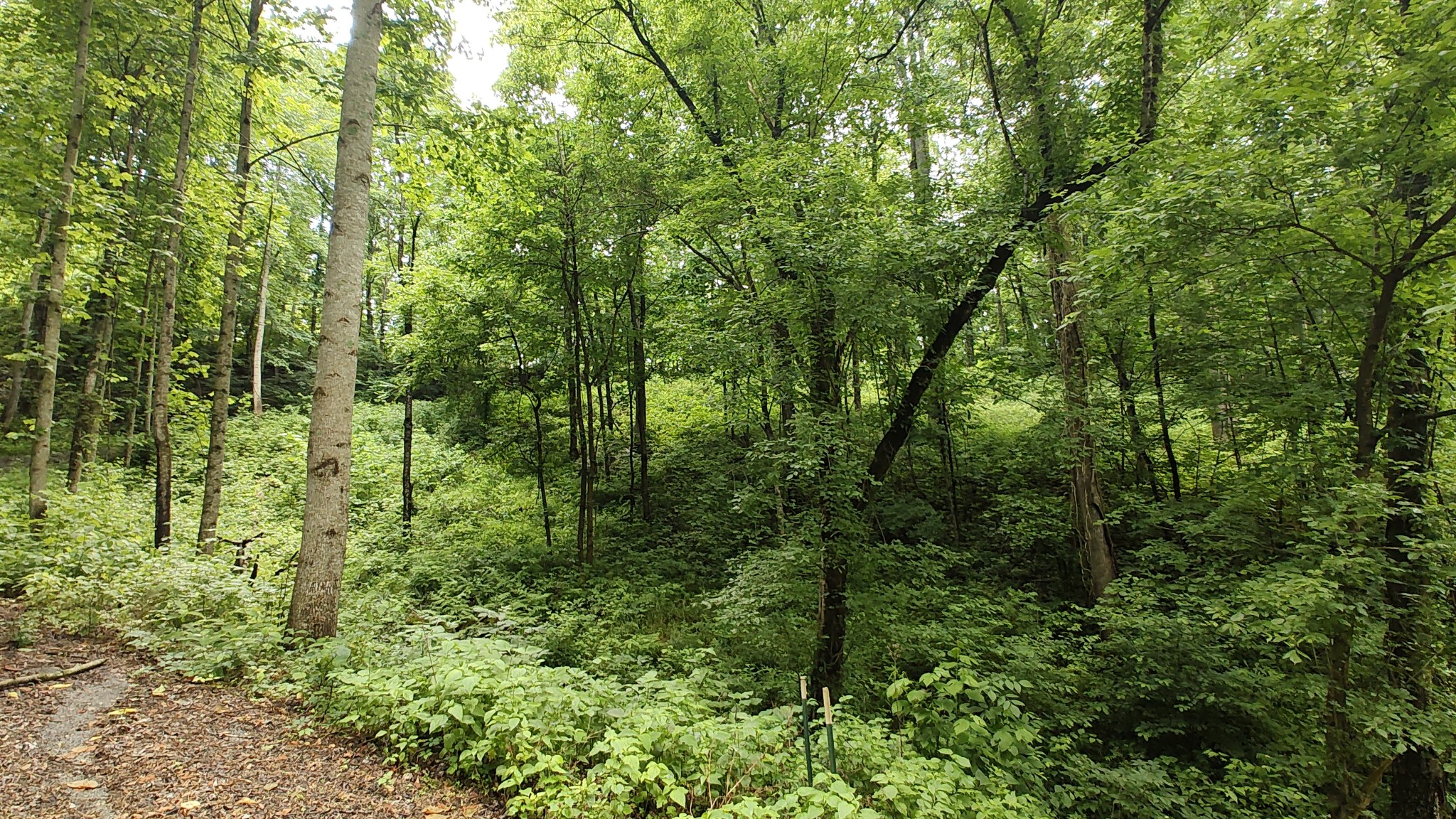 Homes for sale in Lancaster, TN | 56 Harbor Dr, Lancaster, TN 38569 | MLS# 2896712