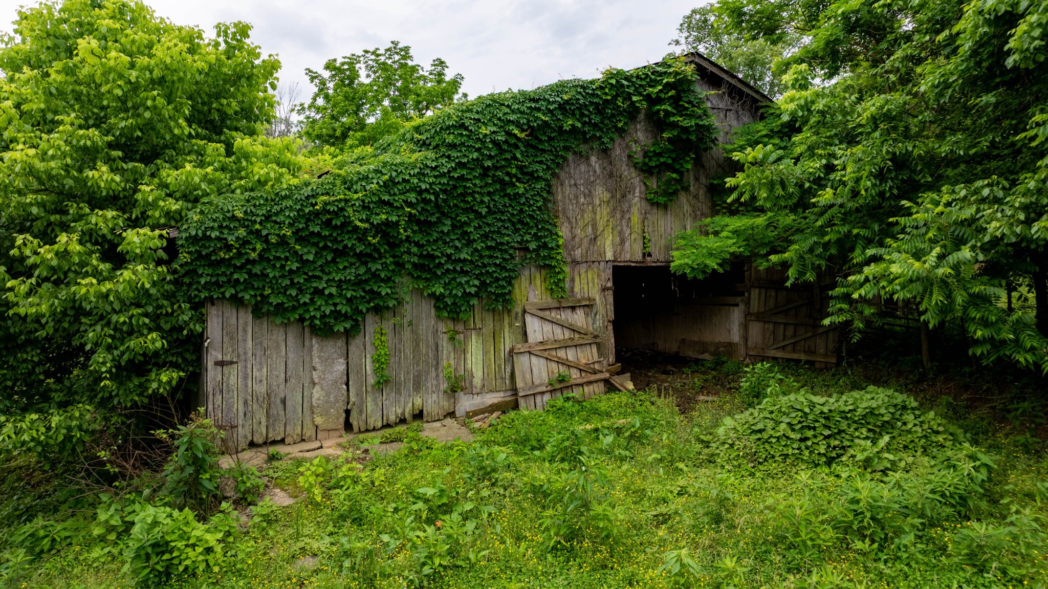 Homes for sale in Bethpage, TN | 1495 Wolf Hill Rd, Bethpage, TN 37022 | MLS# 2899580