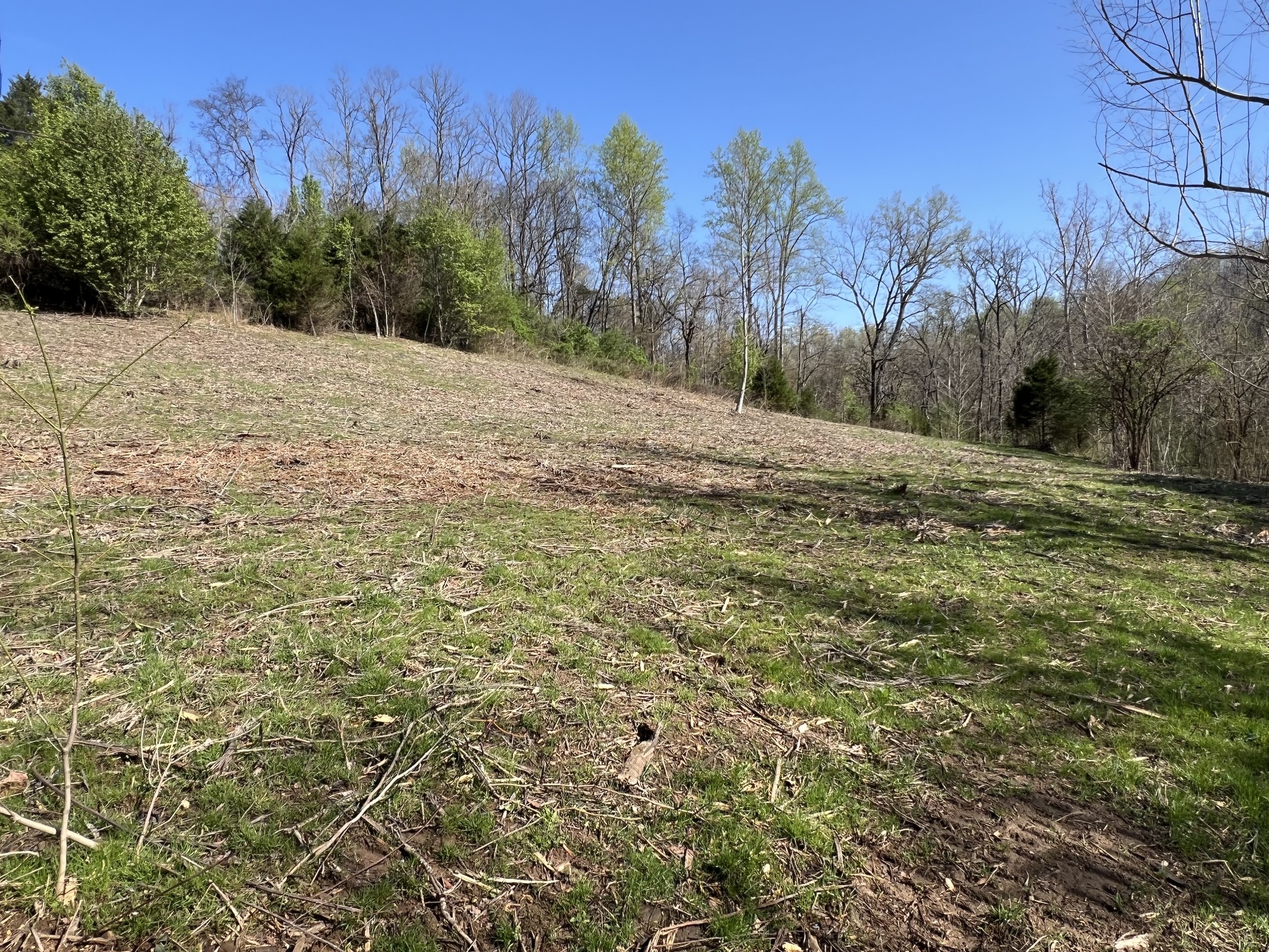 Homes for sale in Lewisburg, TN | 0 Old Lake Rd, Lewisburg, TN 37091 | MLS# 2904680