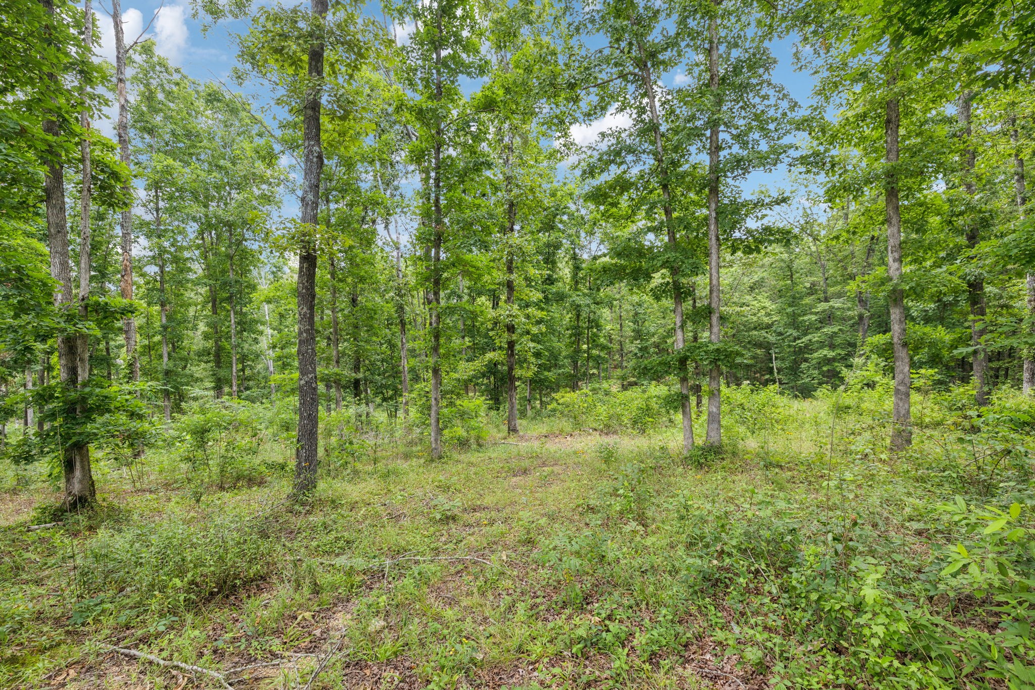 Homes for sale in Summertown, TN | 177 Quail Hollow Rd, Summertown, TN 38483 | MLS# 2907511