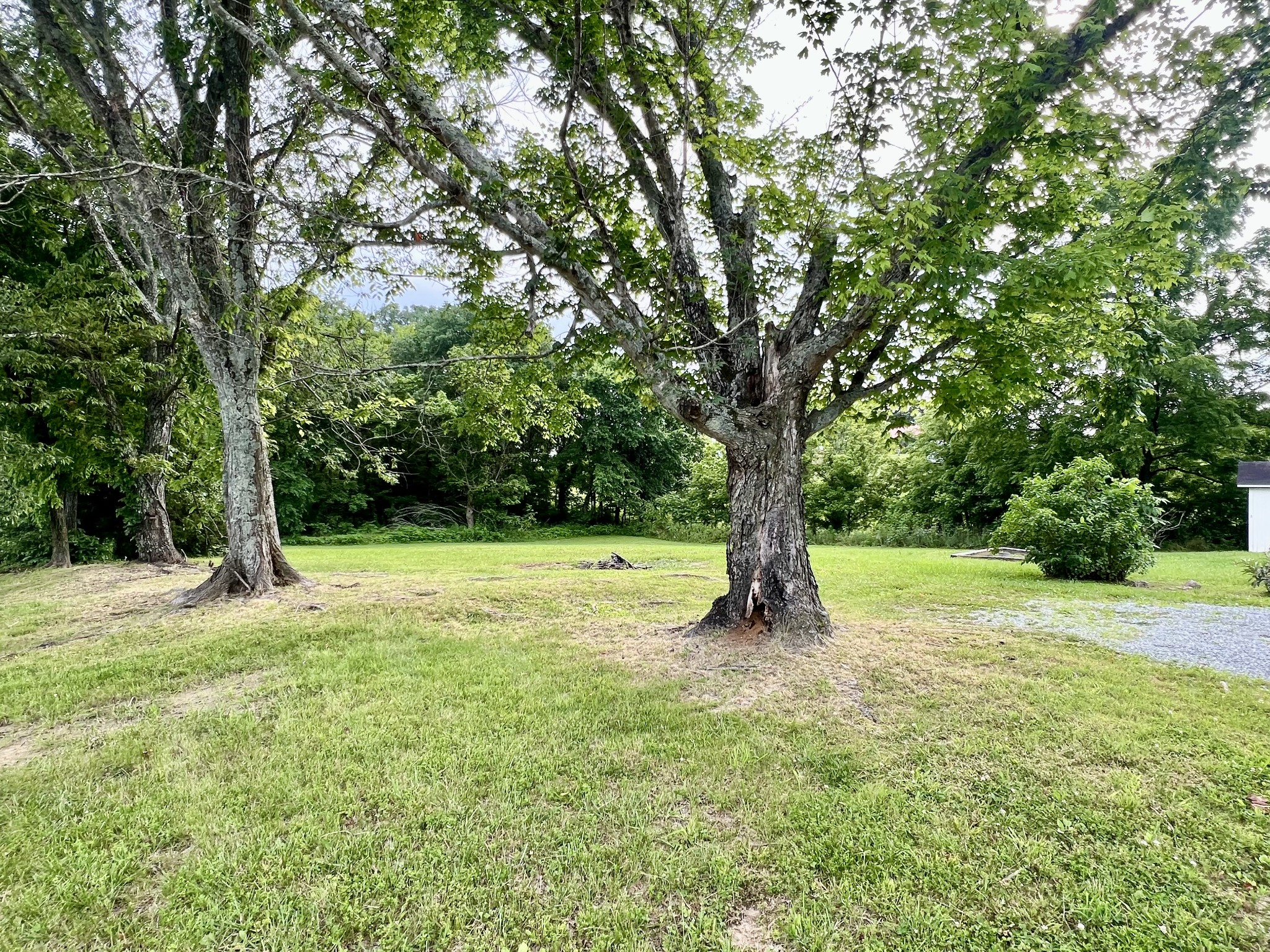 Homes for sale in Summertown, TN | 101 N Old Military Rd, Summertown, TN 38483 | MLS# 2914750