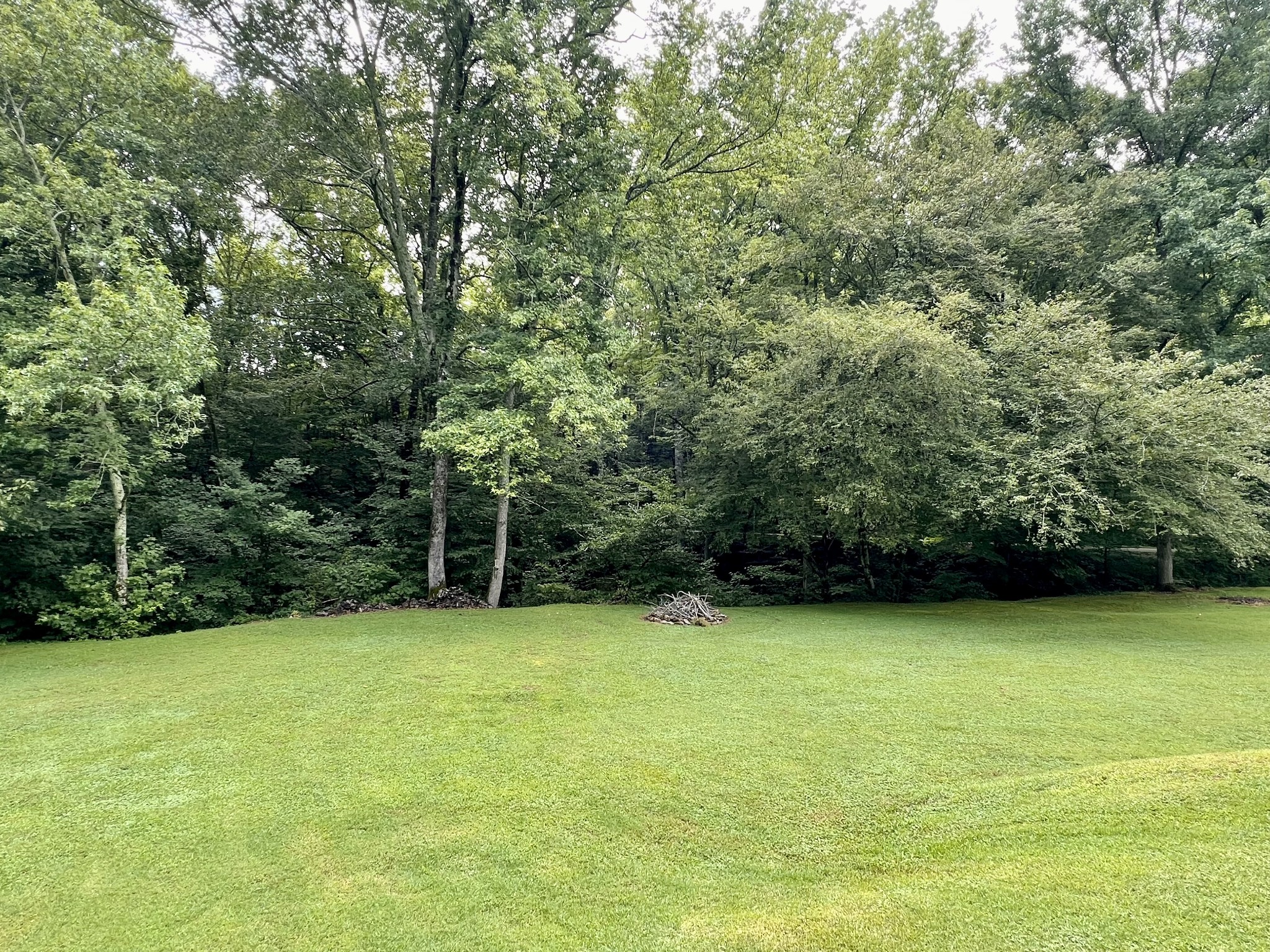 Homes for sale in Pulaski, TN | 7090 Clear Creek Rd, Pulaski, TN 38478 | MLS# 2939016