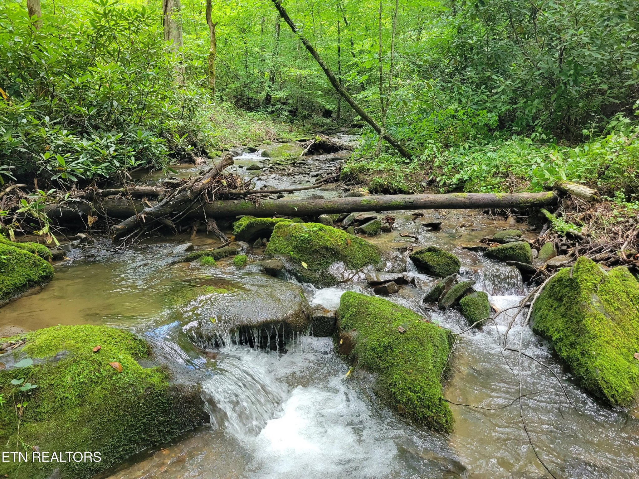 Homes for sale in Cosby, TN | 861 Windy Hill Way, Cosby, TN 37722 | MLS# 3042304