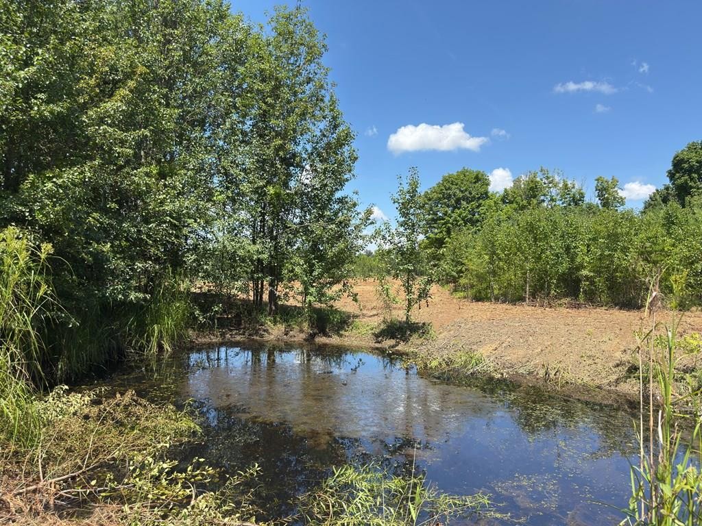 Homes for sale in Morrison, TN | 0 Marcrom Rd, Morrison, TN 37357 | MLS# 2943010