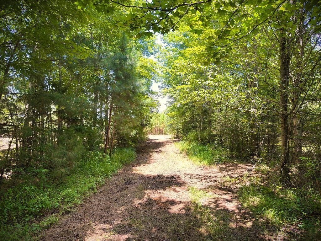 Homes for sale in Morrison, TN | 0 Marcrom Rd, Morrison, TN 37357 | MLS# 2943010