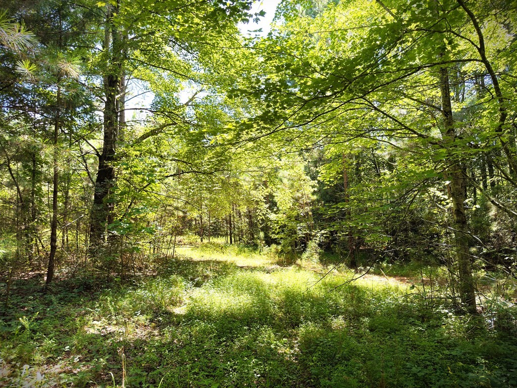 Homes for sale in Morrison, TN | 0 Marcrom Rd, Morrison, TN 37357 | MLS# 2943010