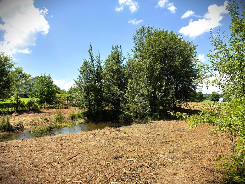 Homes for sale in Morrison, TN | 0 Marcrom Rd, Morrison, TN 37357 | MLS# 2943010