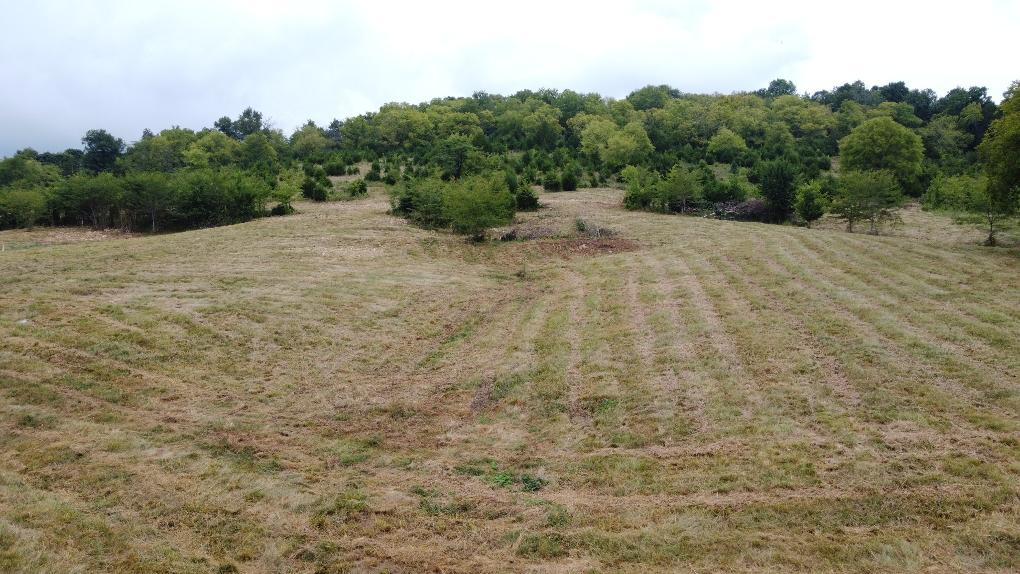 Homes for sale in Gainesboro, TN | 0 Smith Bend Ln, Gainesboro, TN 38562 | MLS# 2958041