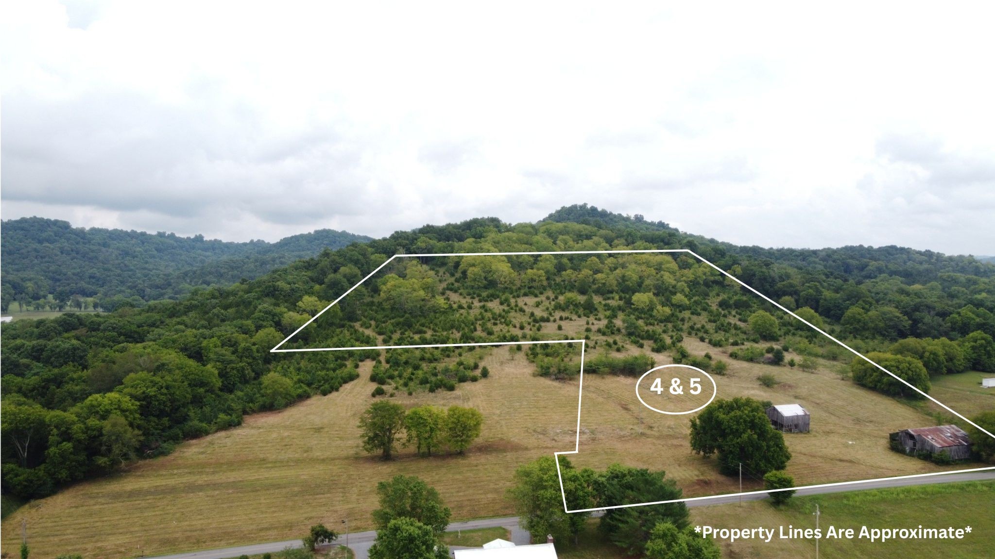 Homes for sale in Gainesboro, TN | 0 Smith Bend Ln, Gainesboro, TN 38562 | MLS# 2958041