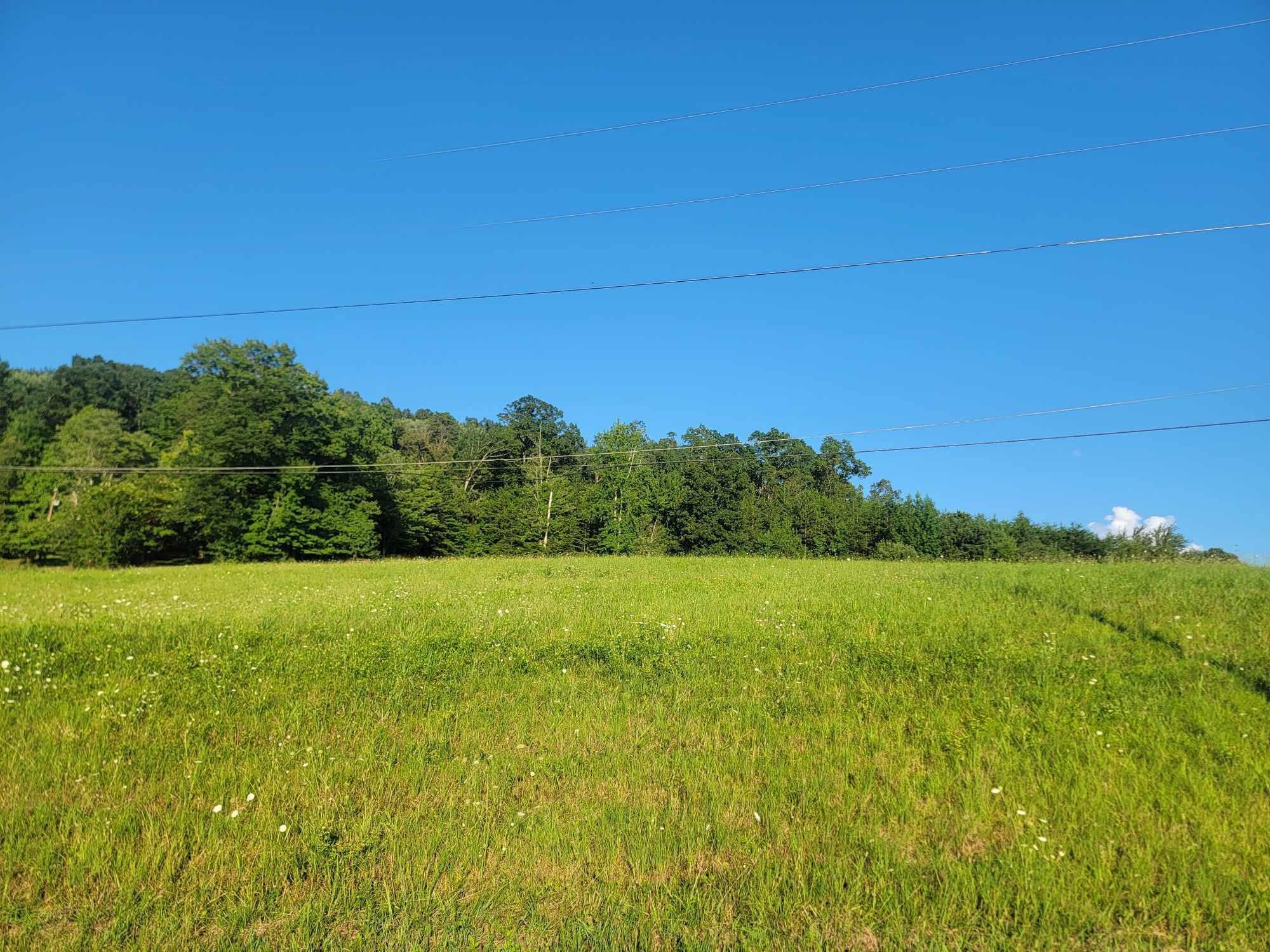 Homes for sale in Spring City, TN | 33 Hinch Street, Spring City, TN 37381 | MLS# 3304360