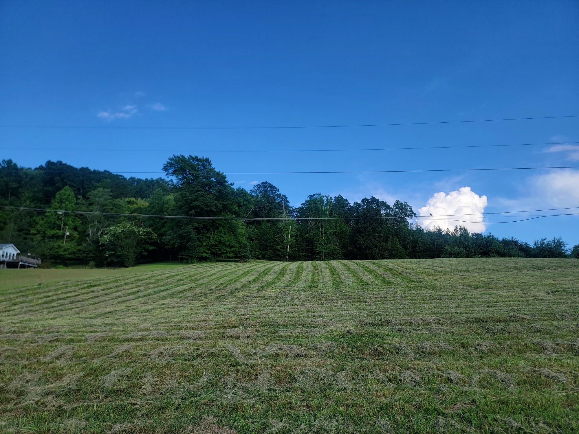 Homes for sale in Spring City, TN | 33 Hinch Street, Spring City, TN 37381 | MLS# 3304360