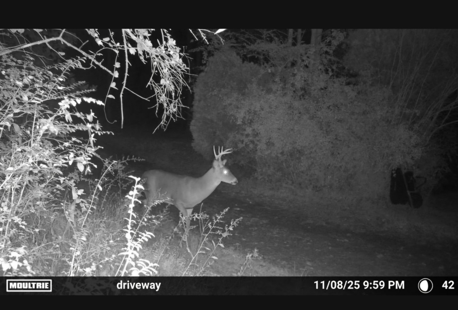 Homes for sale in Vanleer, TN | 1150 Bell Hollow Rd, Vanleer, TN 37181 | MLS# 2965293