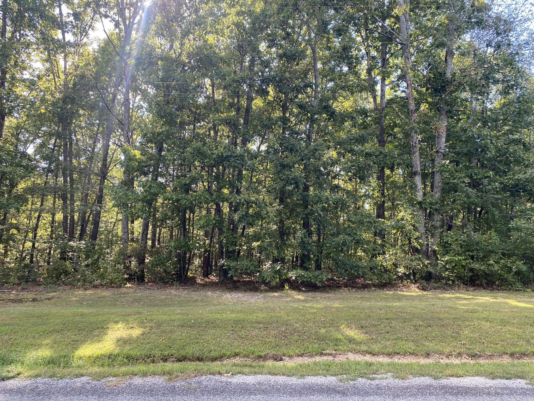 Homes for sale in Summertown, TN | 0 Redstone Dr, Summertown, TN 38483 | MLS# 2988019