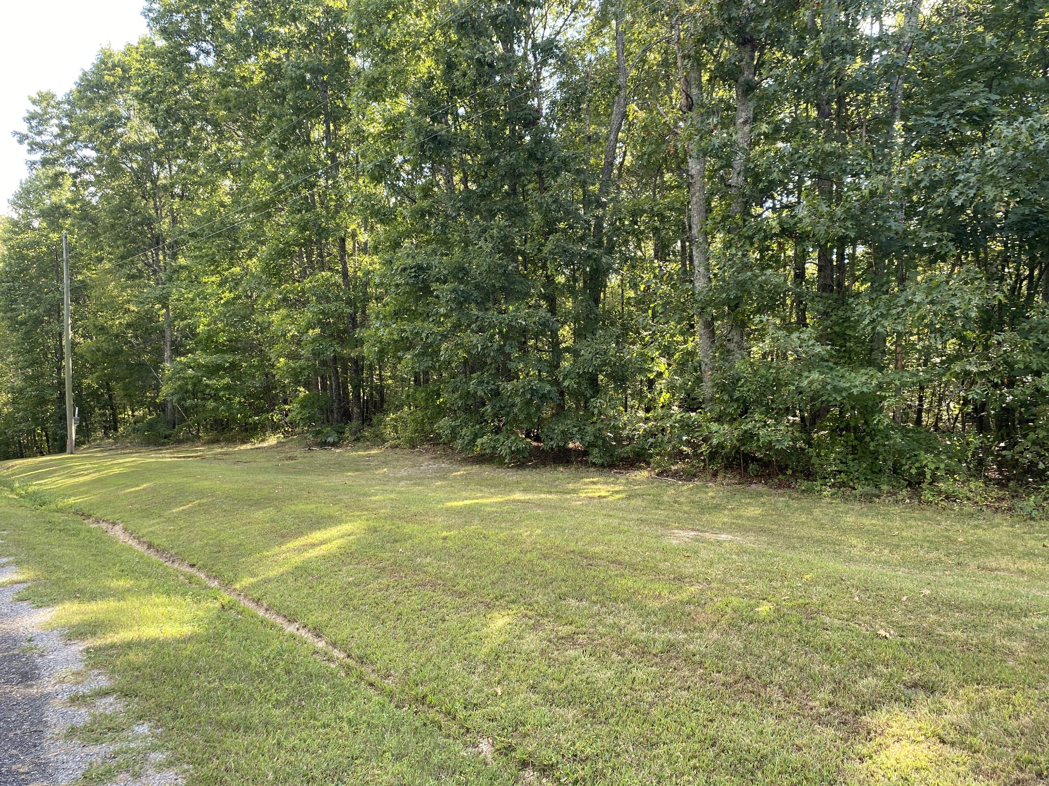 Homes for sale in Summertown, TN | 0 Redstone Dr, Summertown, TN 38483 | MLS# 2988019