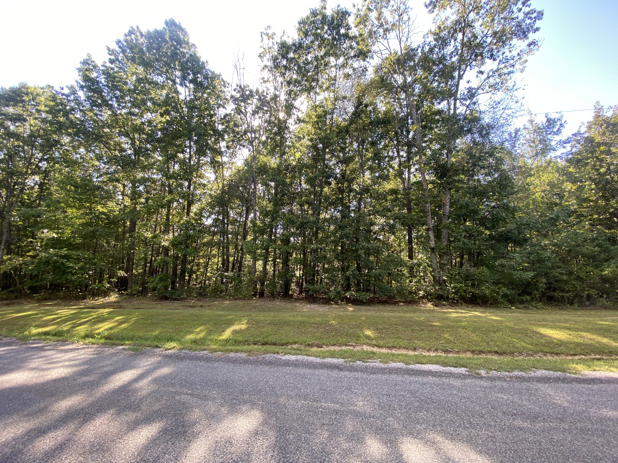 Homes for sale in Summertown, TN | 0 Redstone Dr, Summertown, TN 38483 | MLS# 2988019