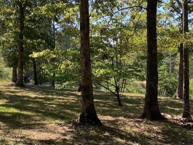 Homes for sale in Decatur, TN | 348 Howard Road, Decatur, TN 37322 | MLS# 3116277