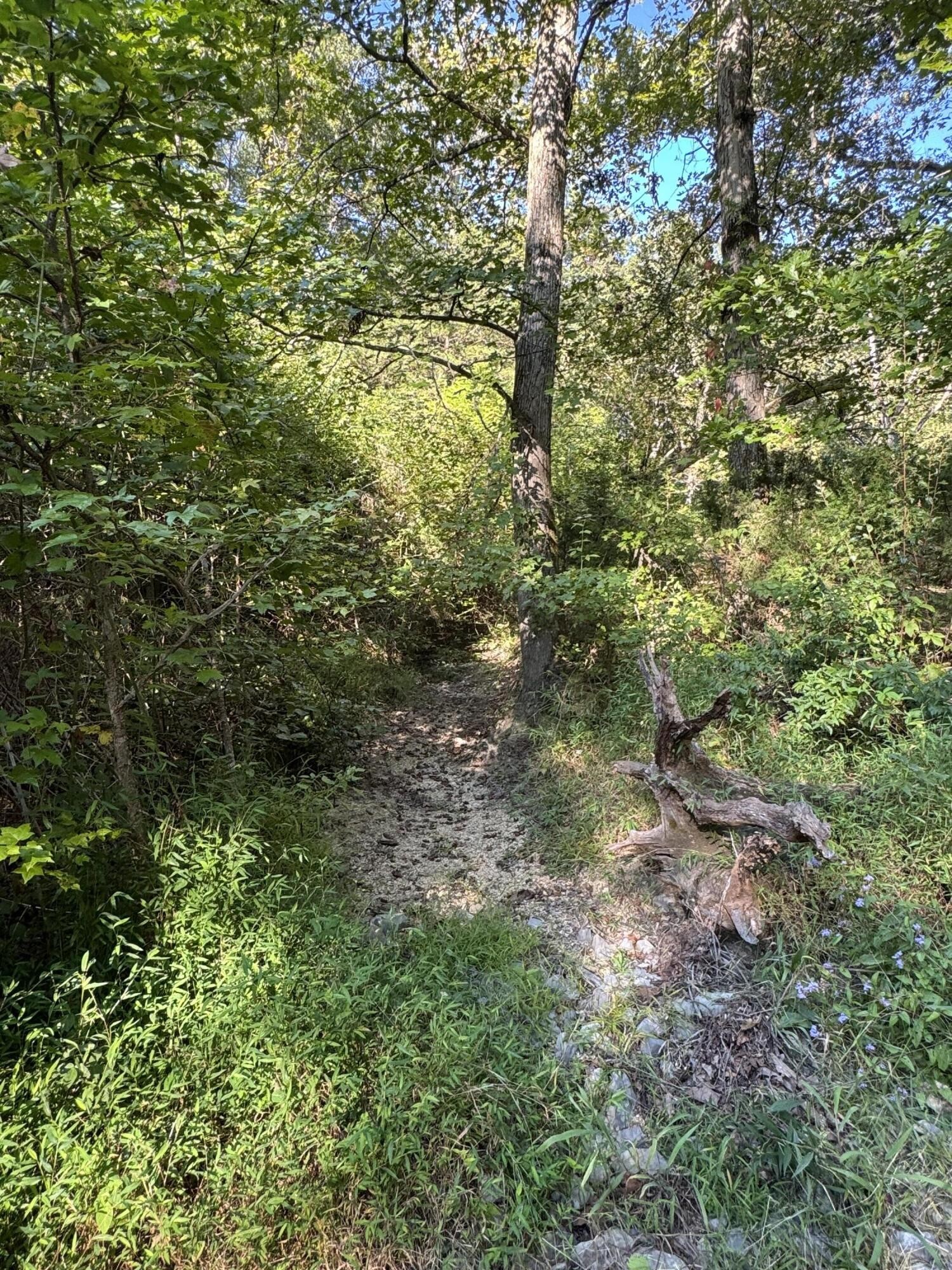 Homes for sale in Dunlap, TN | 13875 Rankin Avenue, Dunlap, TN 37327 | MLS# 2999786