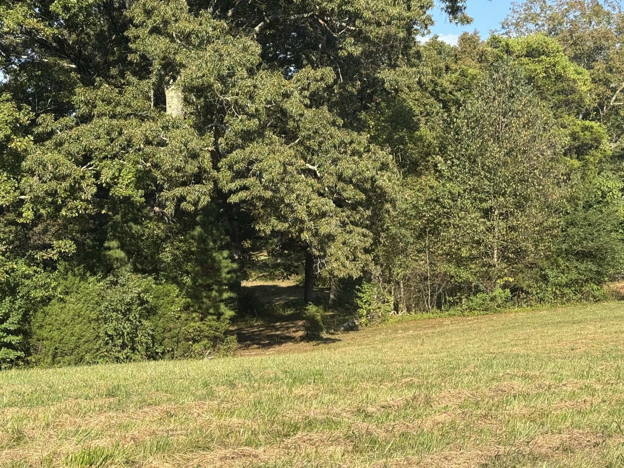 Homes for sale in Dunlap, TN | 13875 Rankin Avenue, Dunlap, TN 37327 | MLS# 2999786