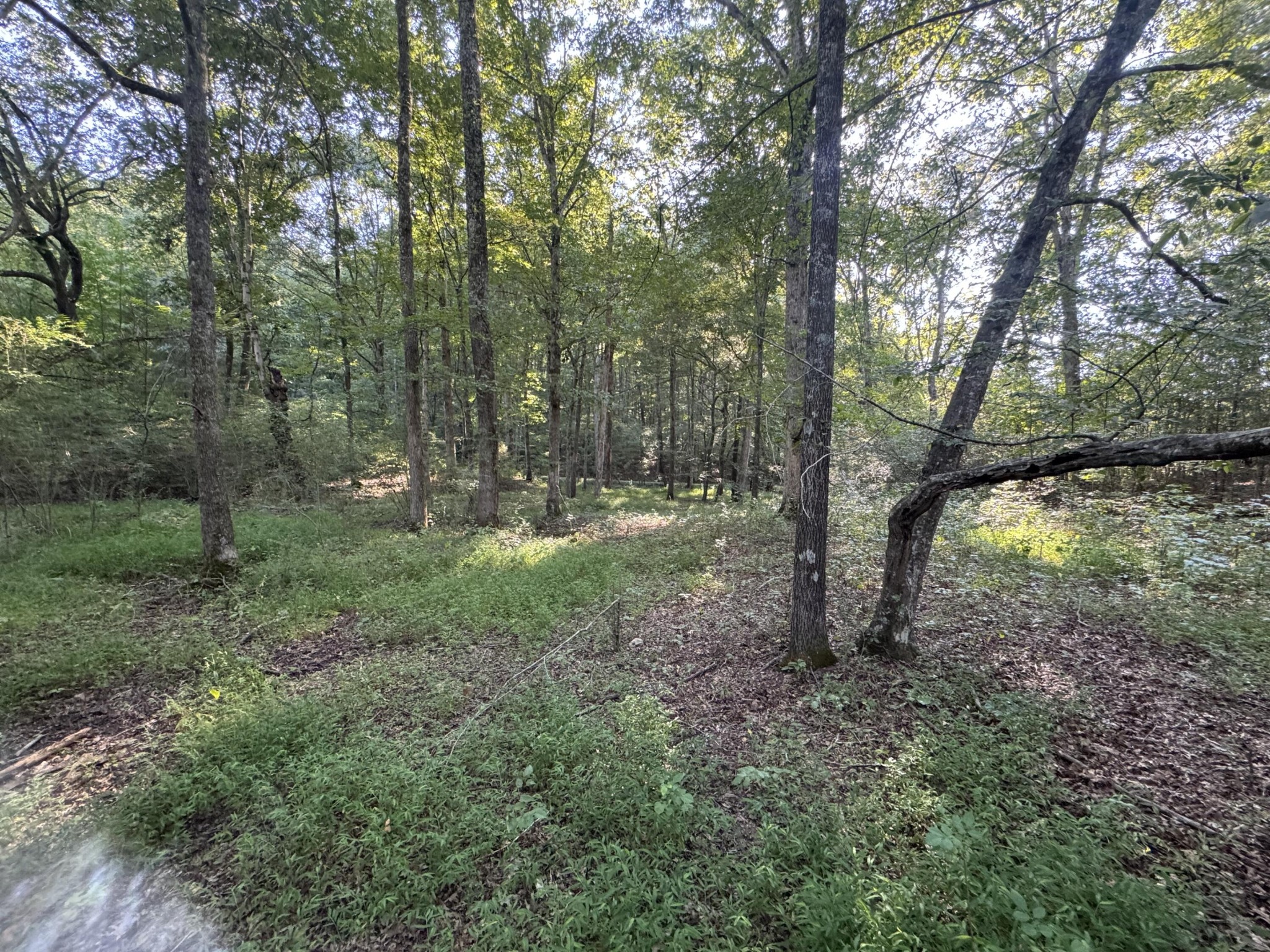 Homes for sale in Dunlap, TN | 13875 Rankin Avenue, Dunlap, TN 37327 | MLS# 2999786