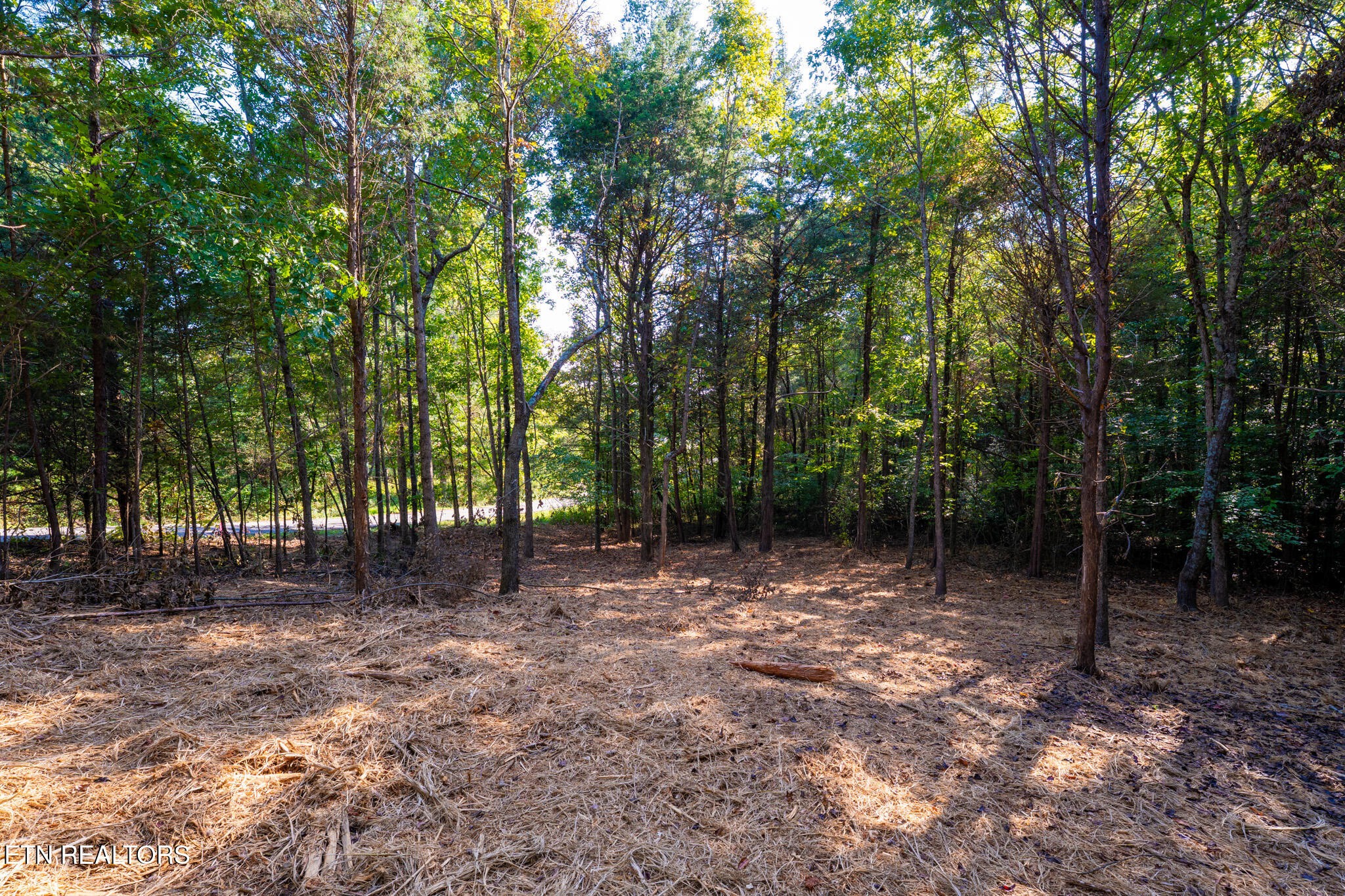 Homes for sale in Loudon, TN | 320 Valley Dr, Loudon, TN 37774 | MLS# 3014140