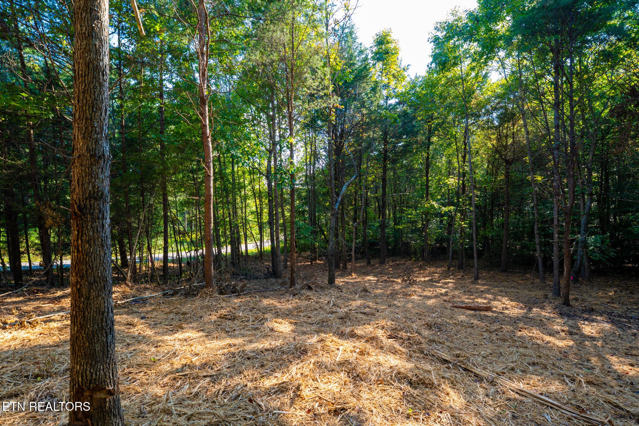 Homes for sale in Loudon, TN | 320 Valley Dr, Loudon, TN 37774 | MLS# 3014140