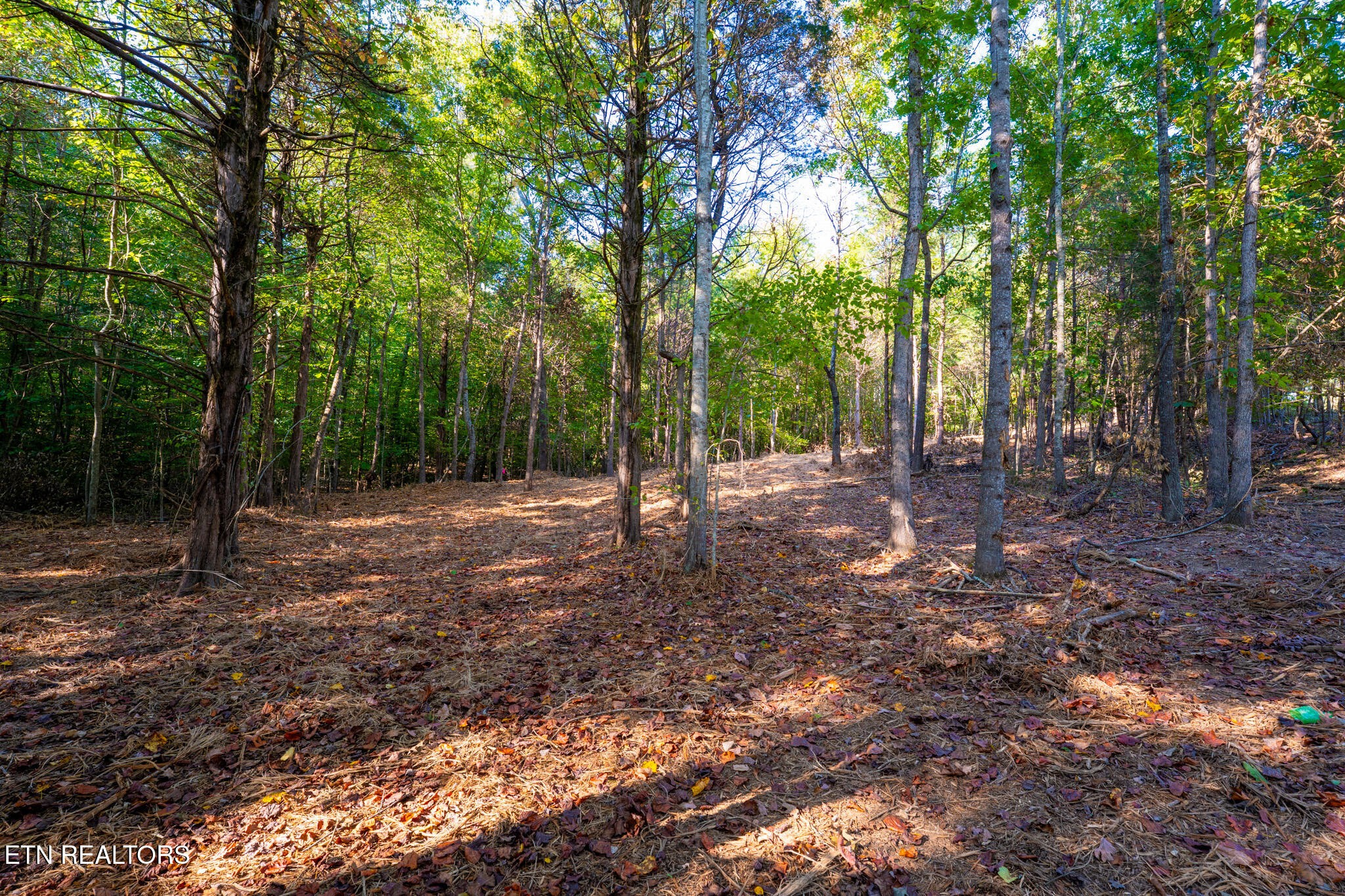 Homes for sale in Loudon, TN | 320 Valley Dr, Loudon, TN 37774 | MLS# 3014140