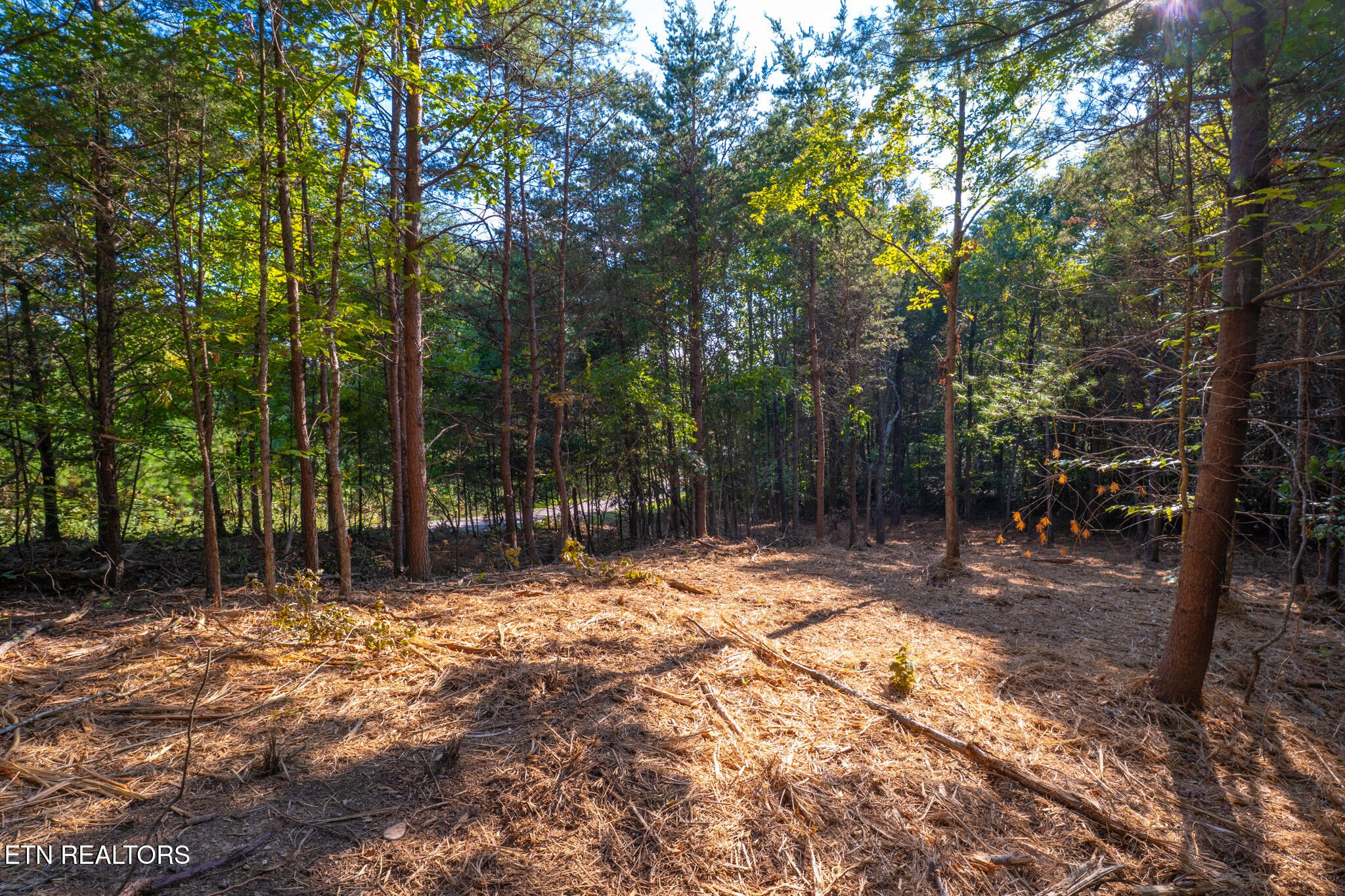 Homes for sale in Loudon, TN | 320 Valley Dr, Loudon, TN 37774 | MLS# 3014140