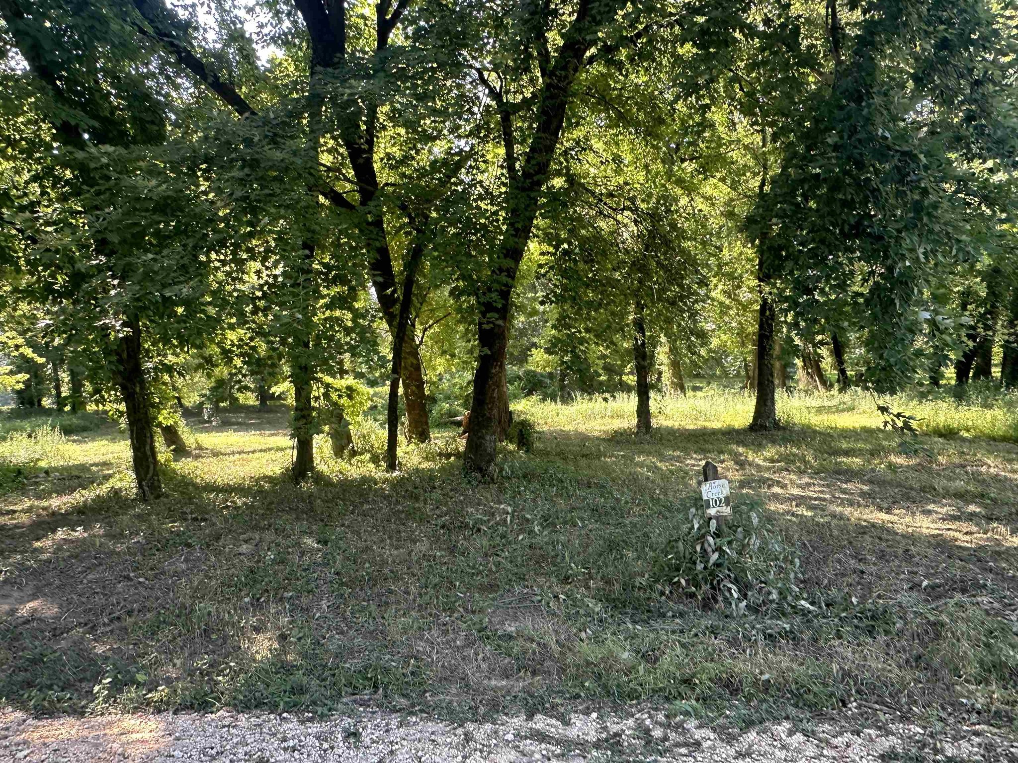 Homes for sale in Savannah, TN | 102 Teal Ln, Savannah, TN 38372 | MLS# 3018445