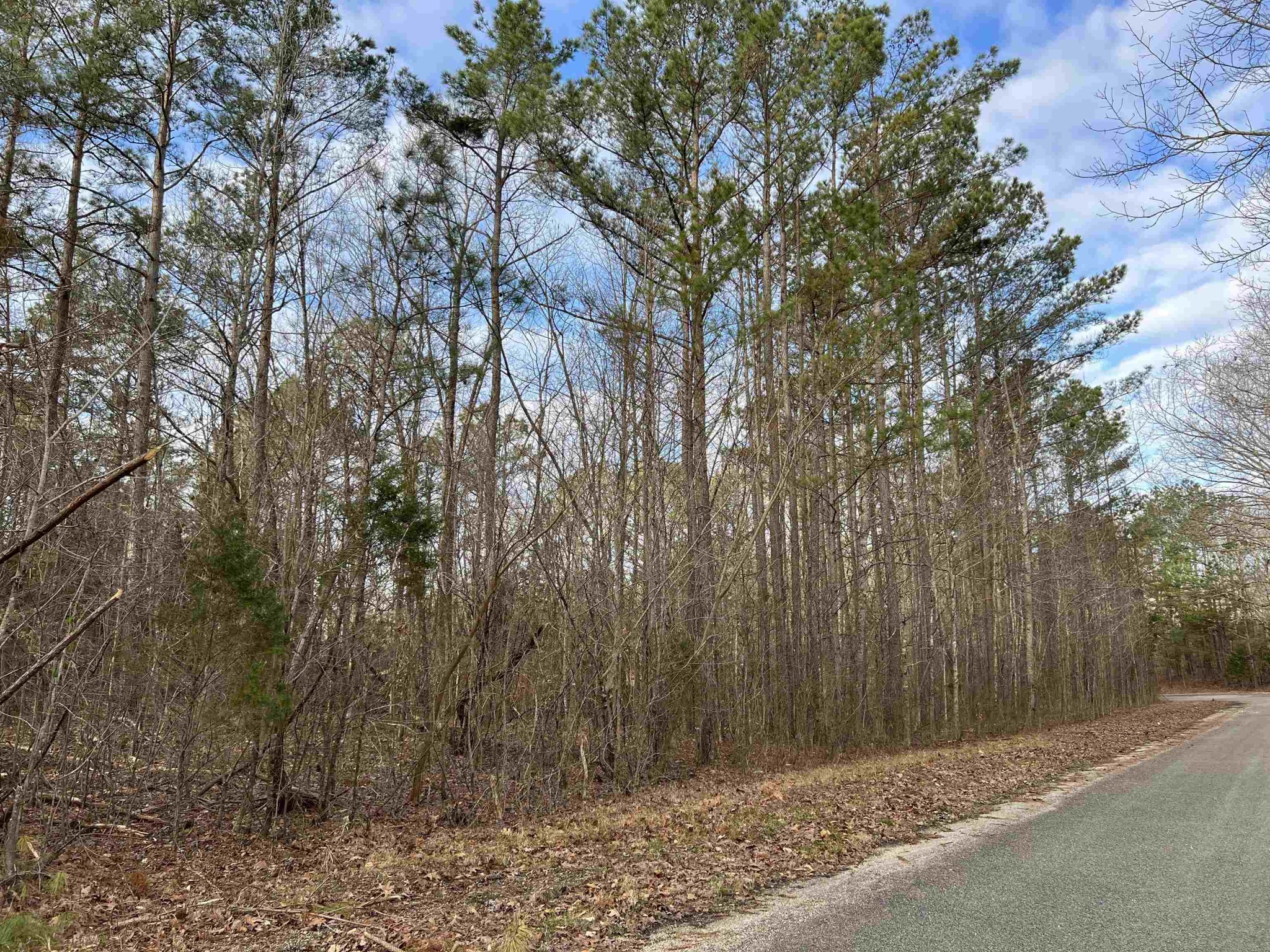 Homes for sale in Reagan, TN | 0 Old Lula Rd, Reagan, TN 38368 | MLS# 3081318