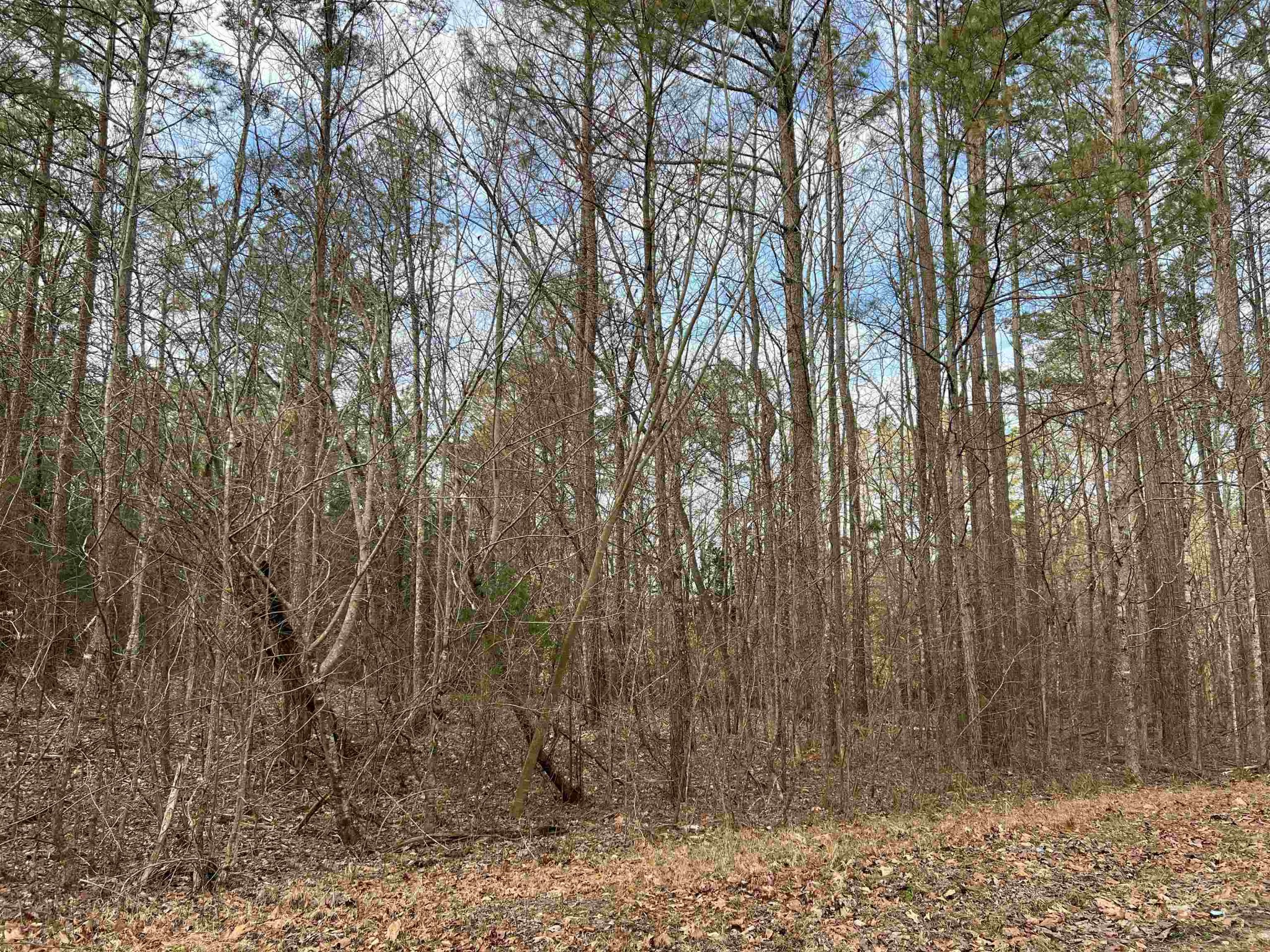 Homes for sale in Reagan, TN | 0 Old Lula Rd, Reagan, TN 38368 | MLS# 3081318